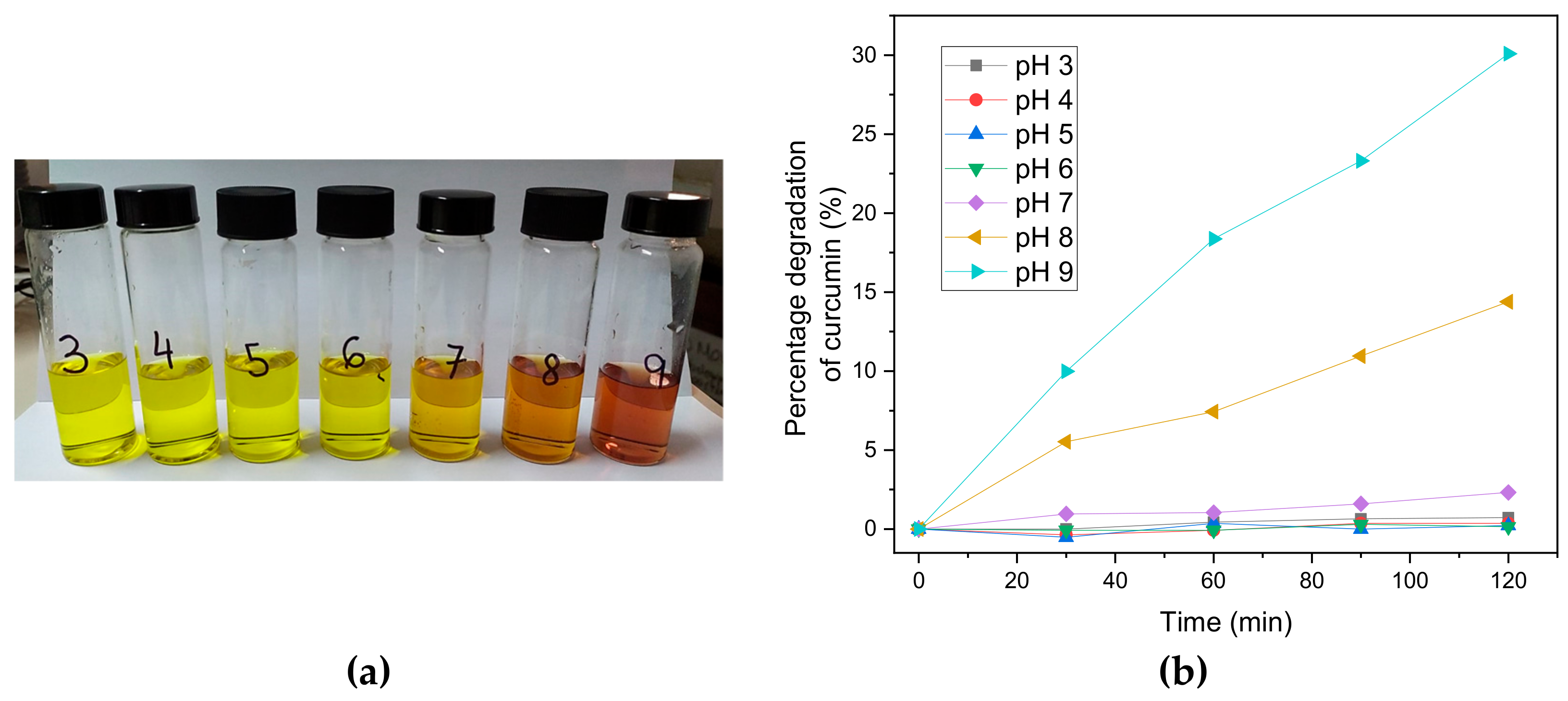 Polymers 15 03332 g005