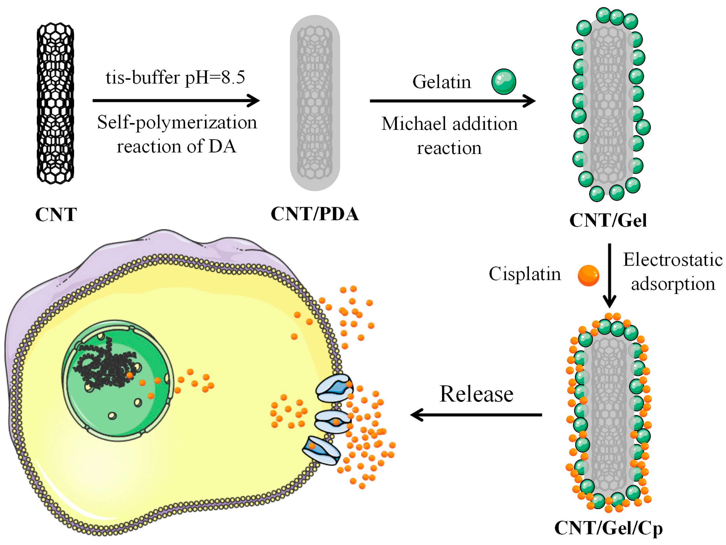 Polymers 15 03333 g001 Polymers 15 03333 g001