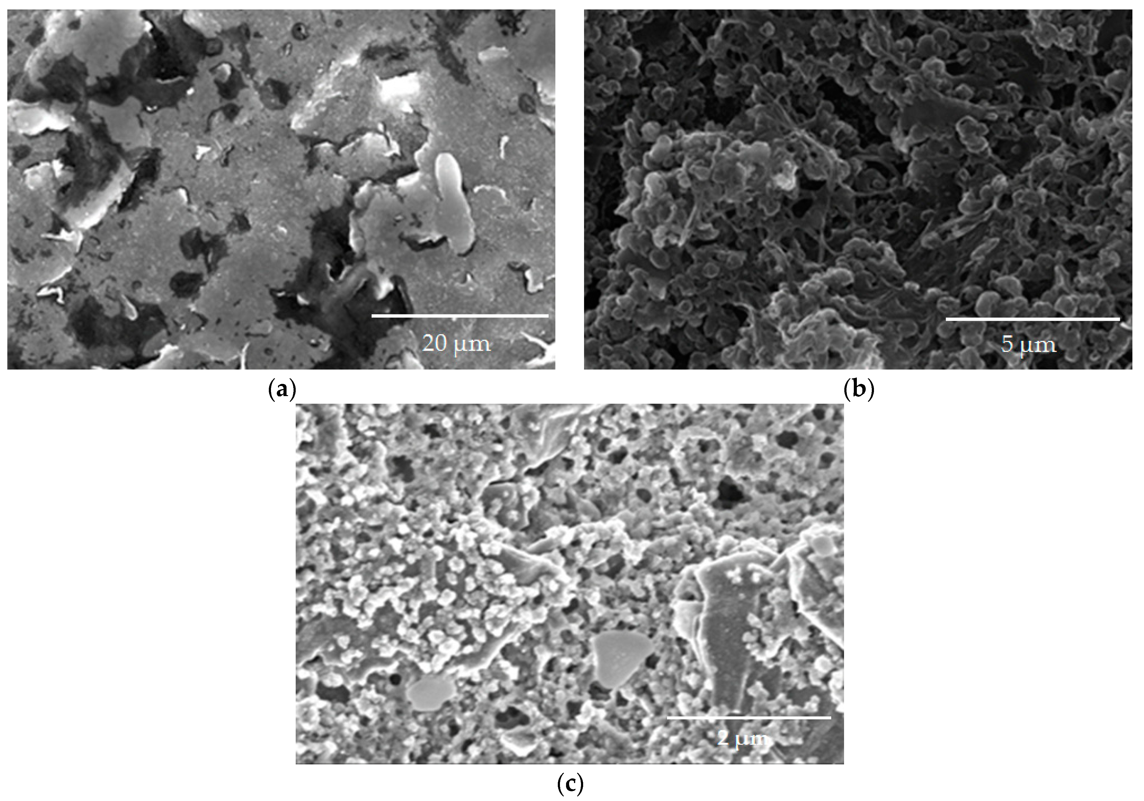 Polymers 15 03335 g004 Polymers 15 03335 g004