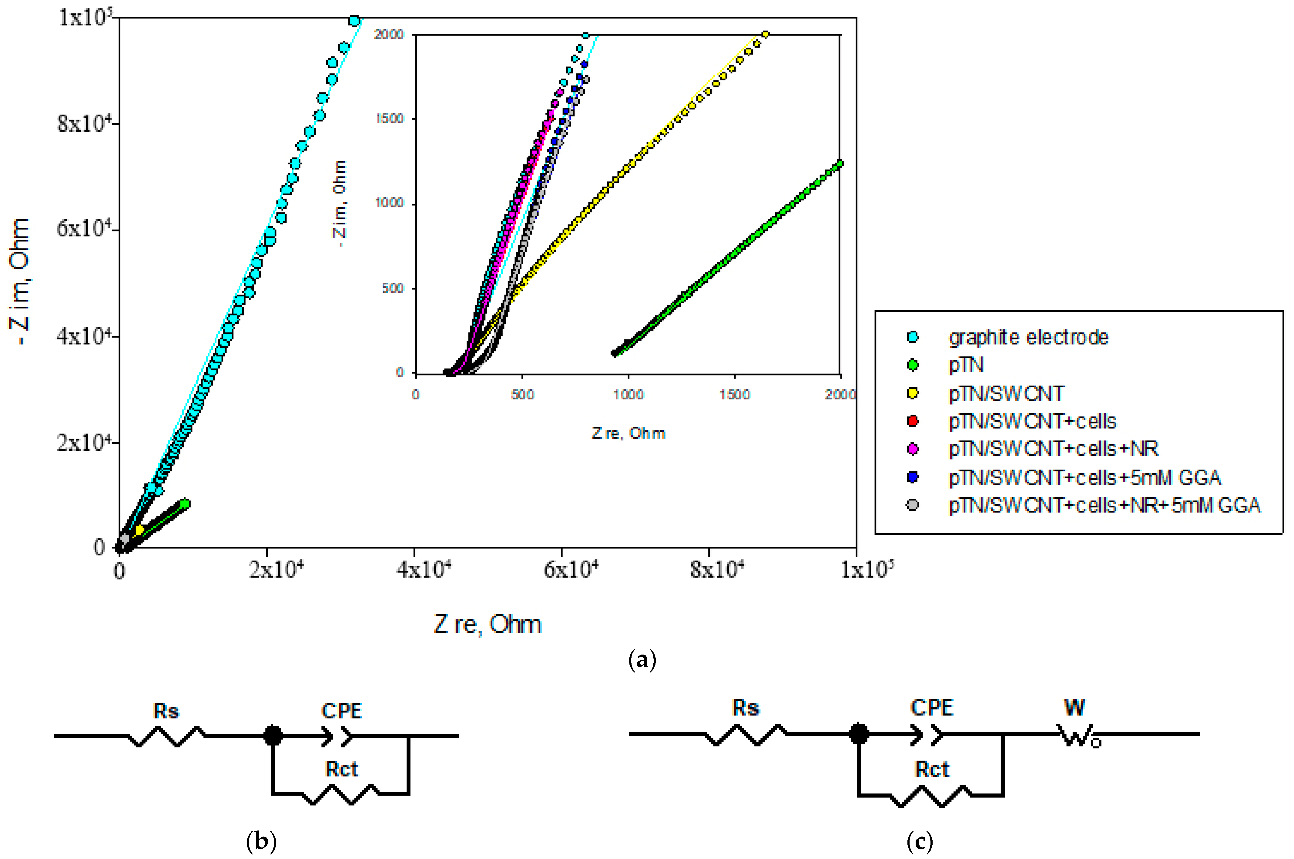 Polymers 15 03335 g007 Polymers 15 03335 g007