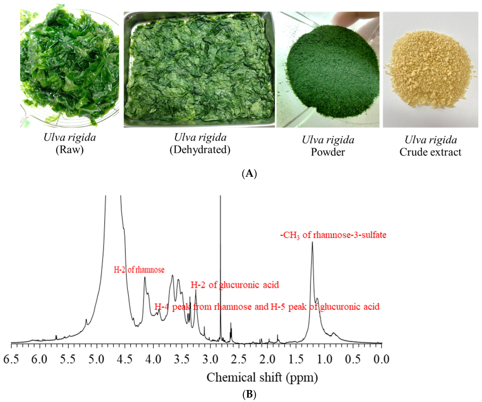 Polymers 15 03342 g001 Polymers 15 03342 g001