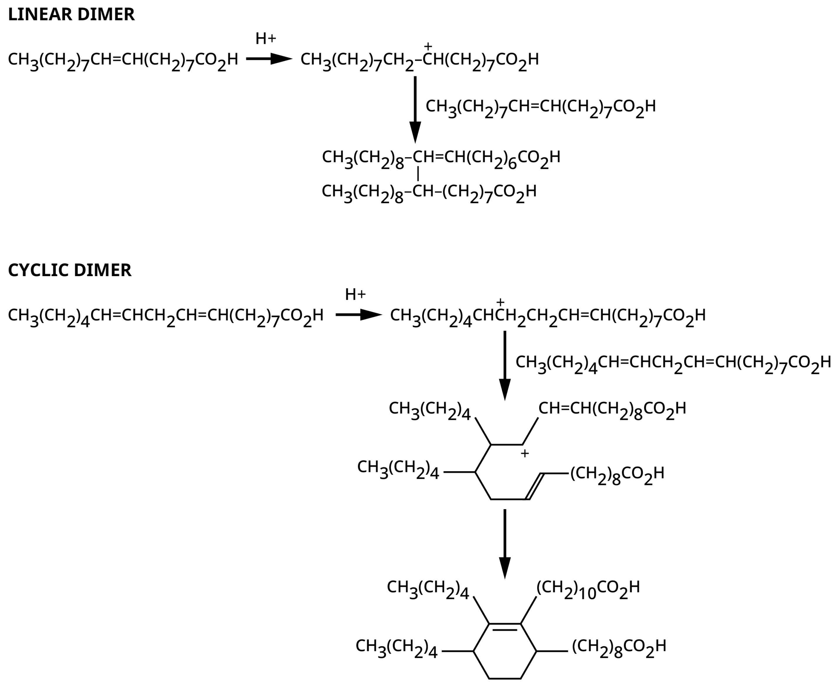 Polymers 15 03345 g006 Polymers 15 03345 g006