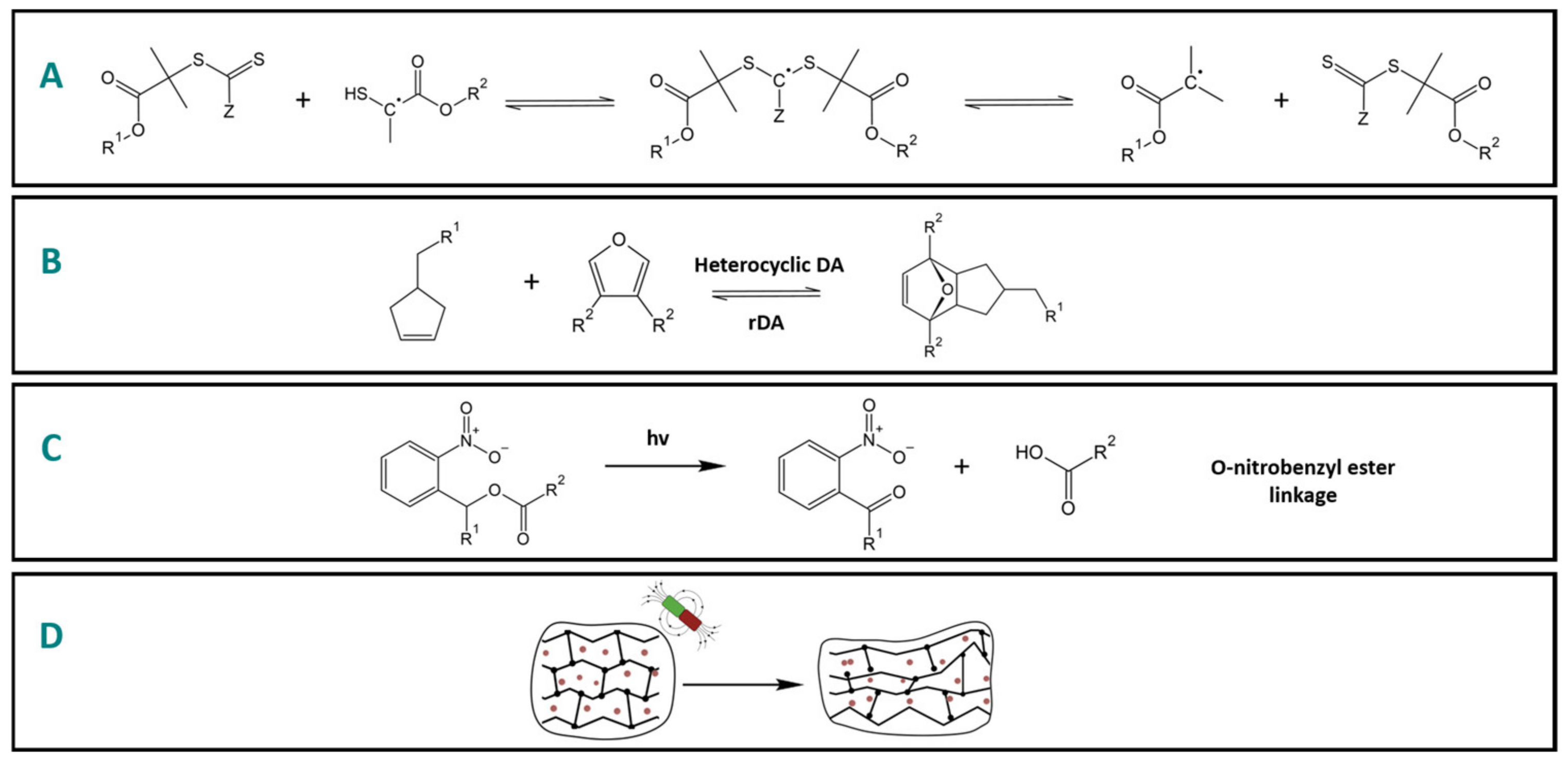 Polymers 15 03346 g003