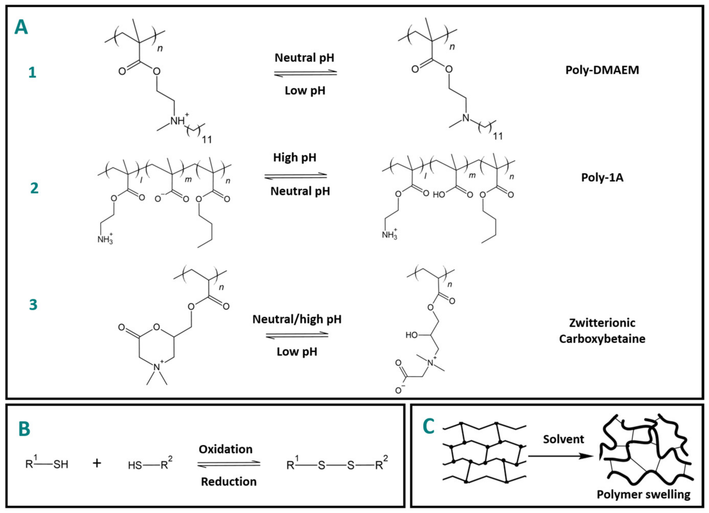 Polymers 15 03346 g004