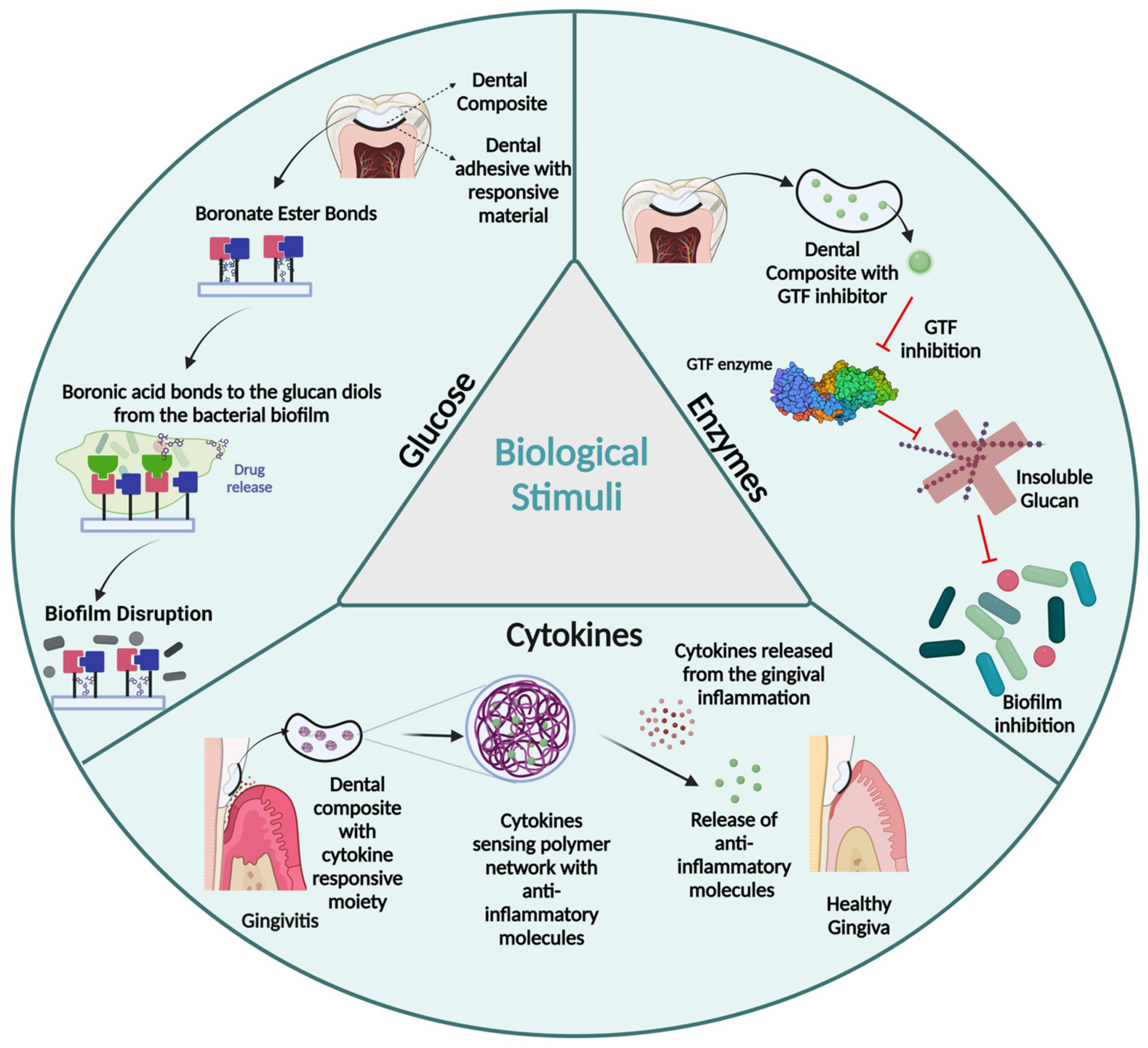 Polymers 15 03346 g005