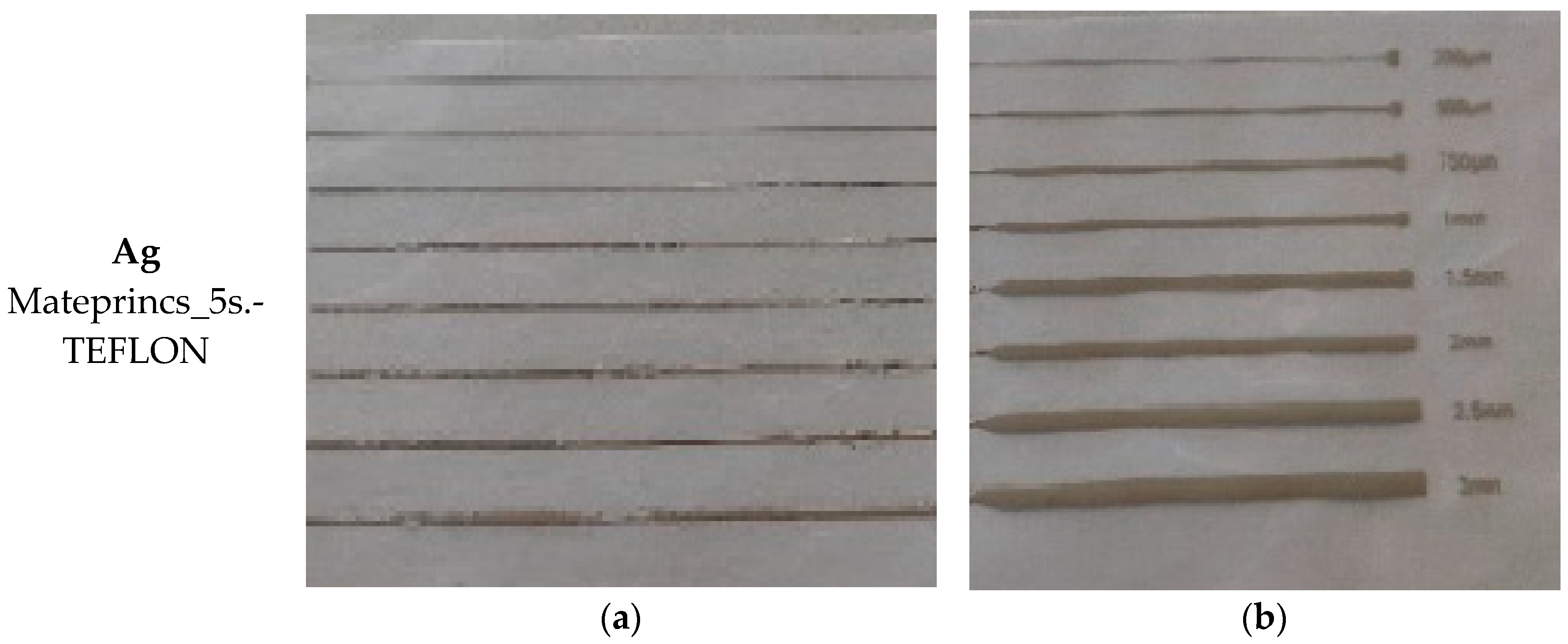 Polymers 15 03348 g007b Polymers 15 03348 g007b