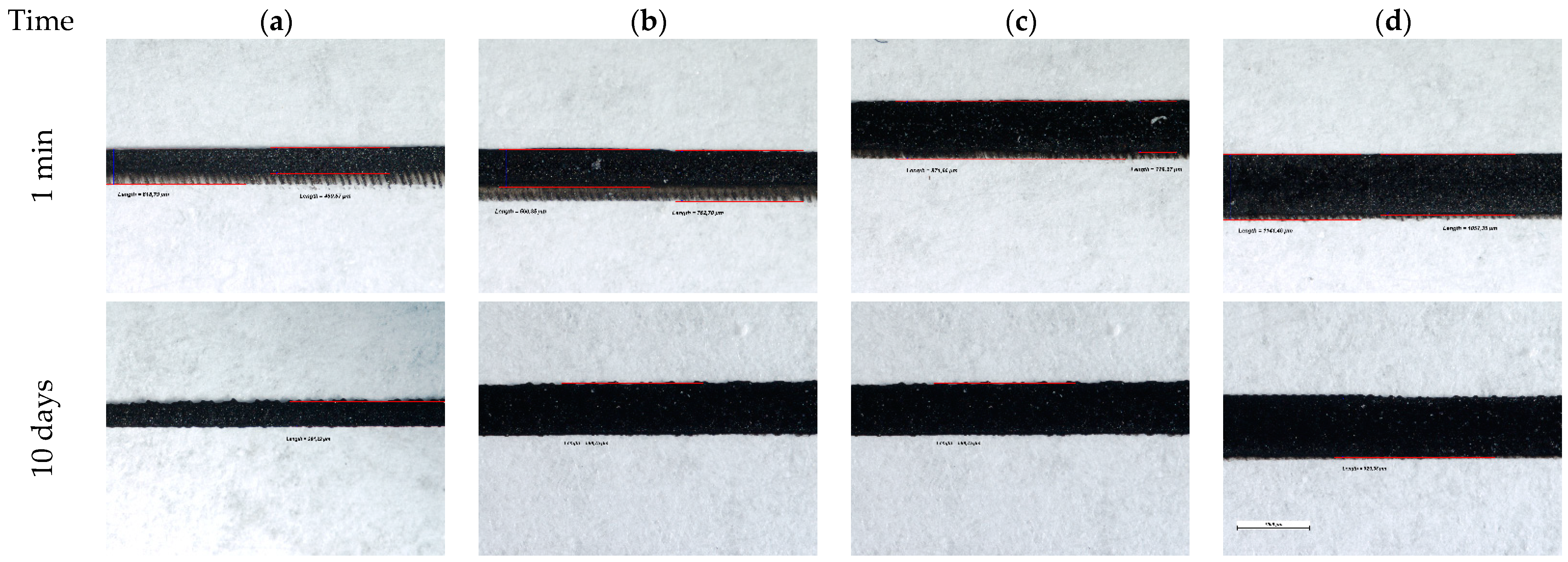Polymers 15 03348 g009 Polymers 15 03348 g009