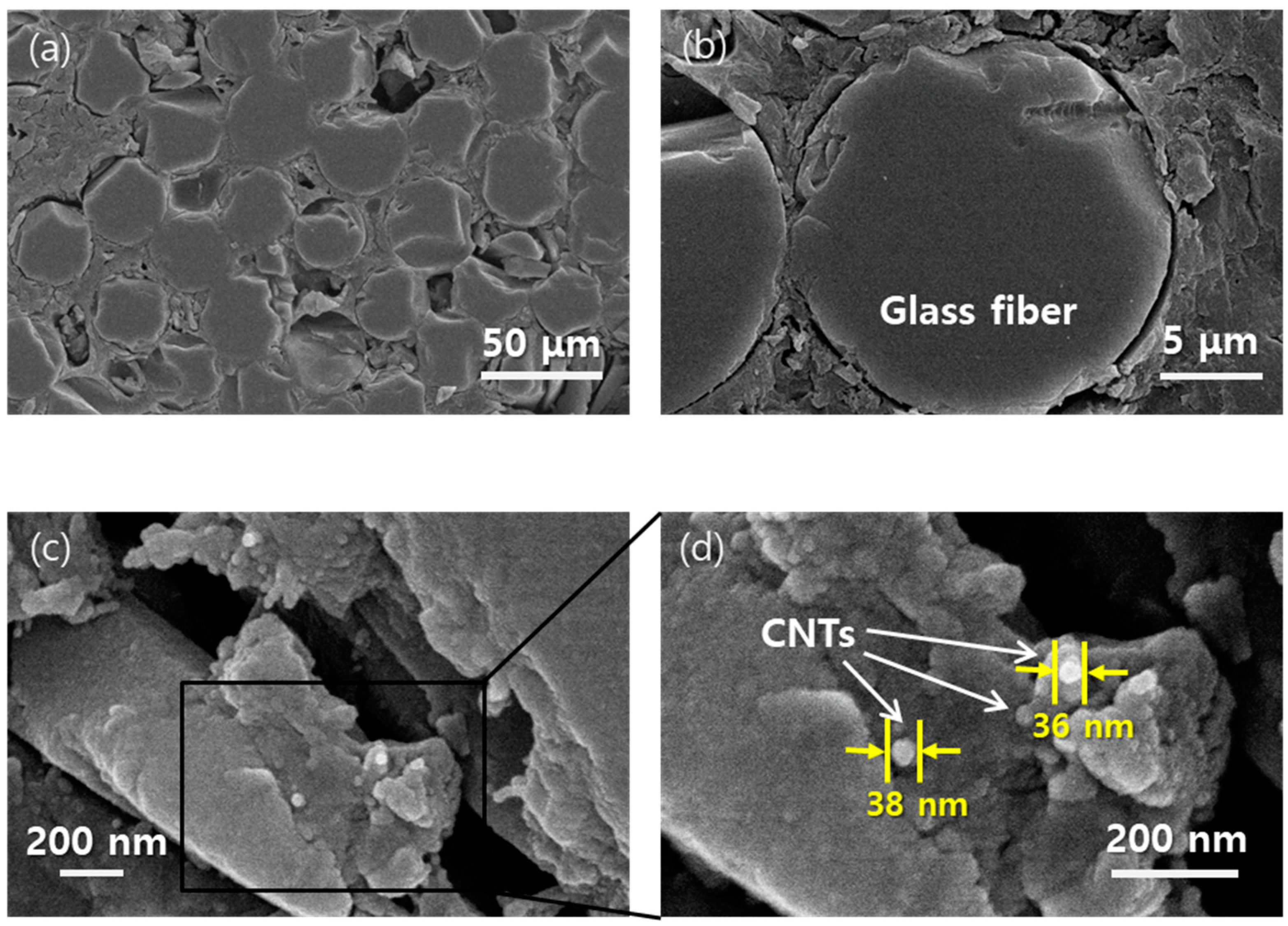 Polymers 15 03353 g006