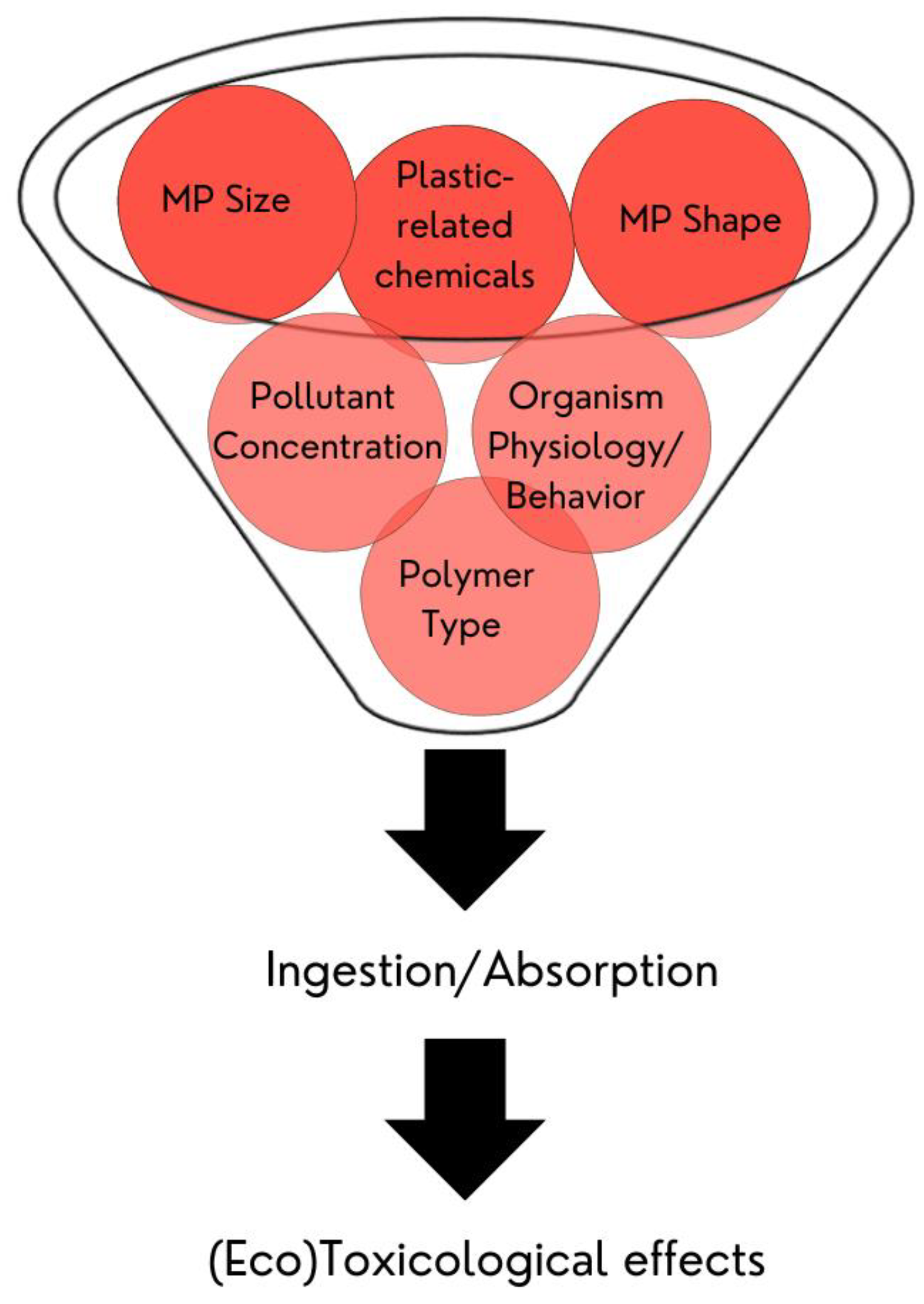 Polymers 15 03356 g004