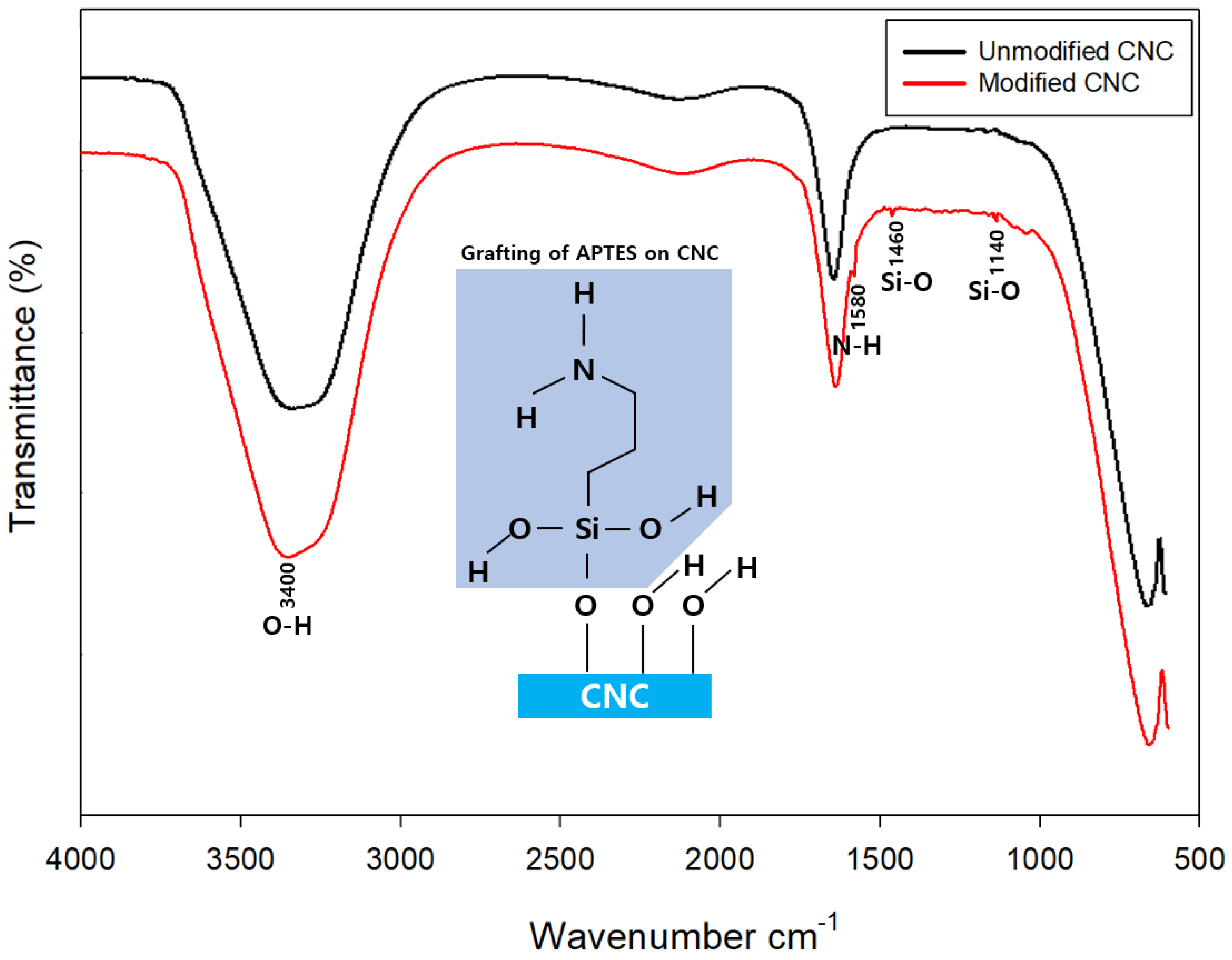Polymers 15 03358 g003