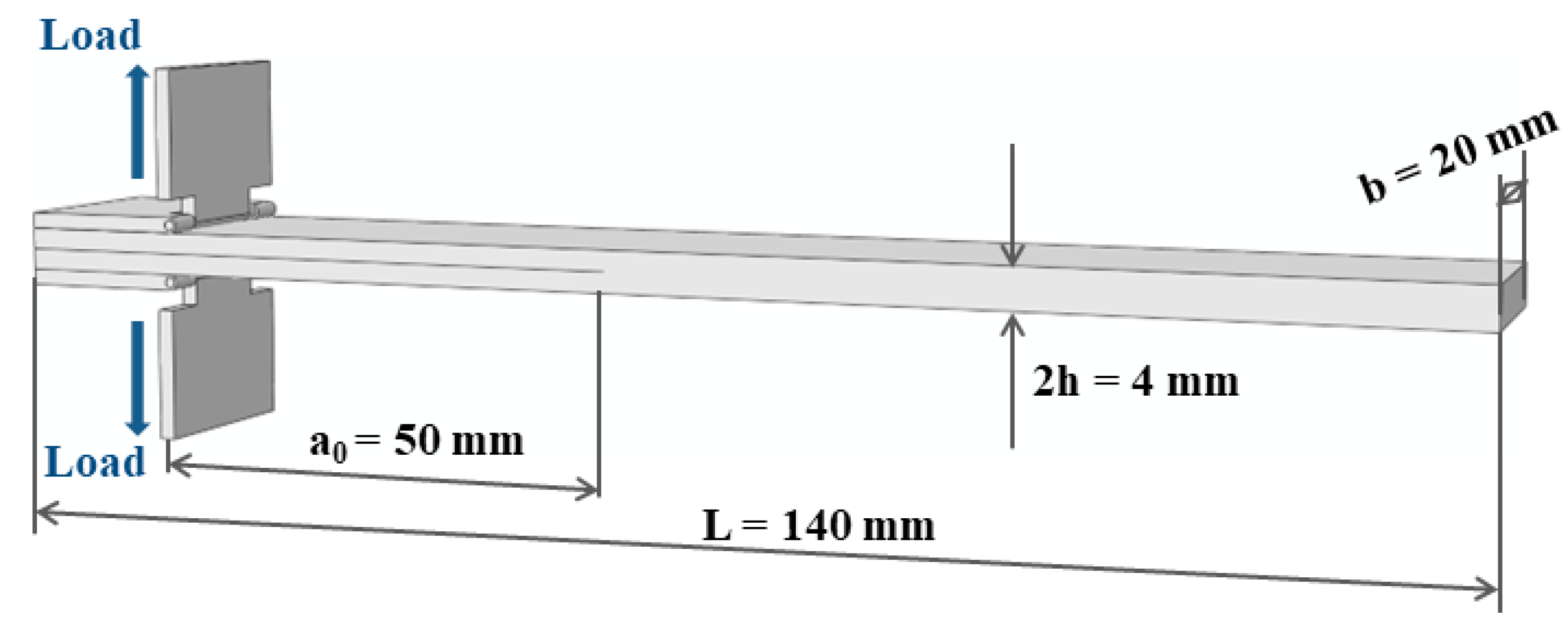 Polymers 15 03362 g006