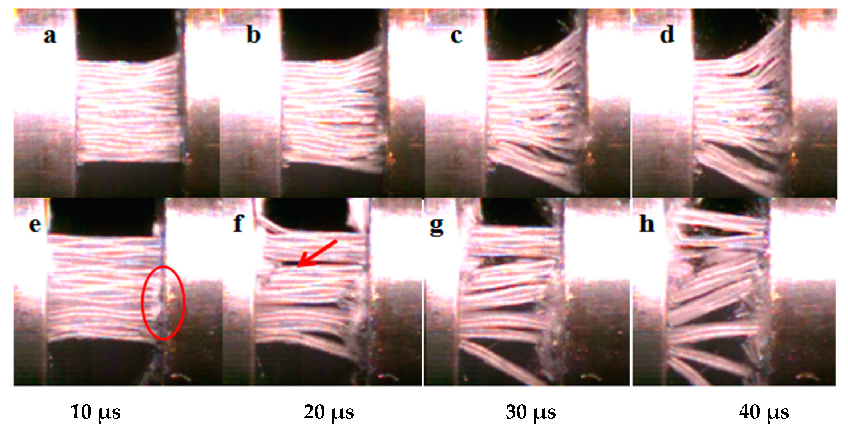 Polymers 15 03362 g012
