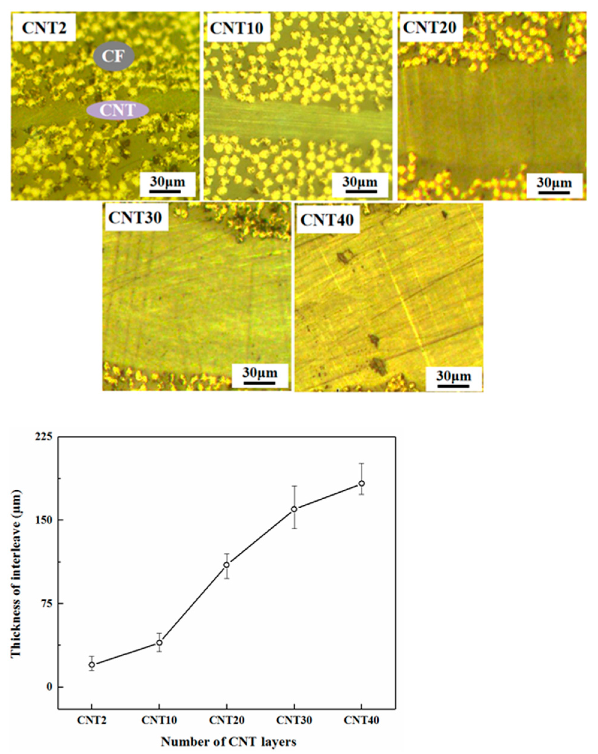 Polymers 15 03362 g017