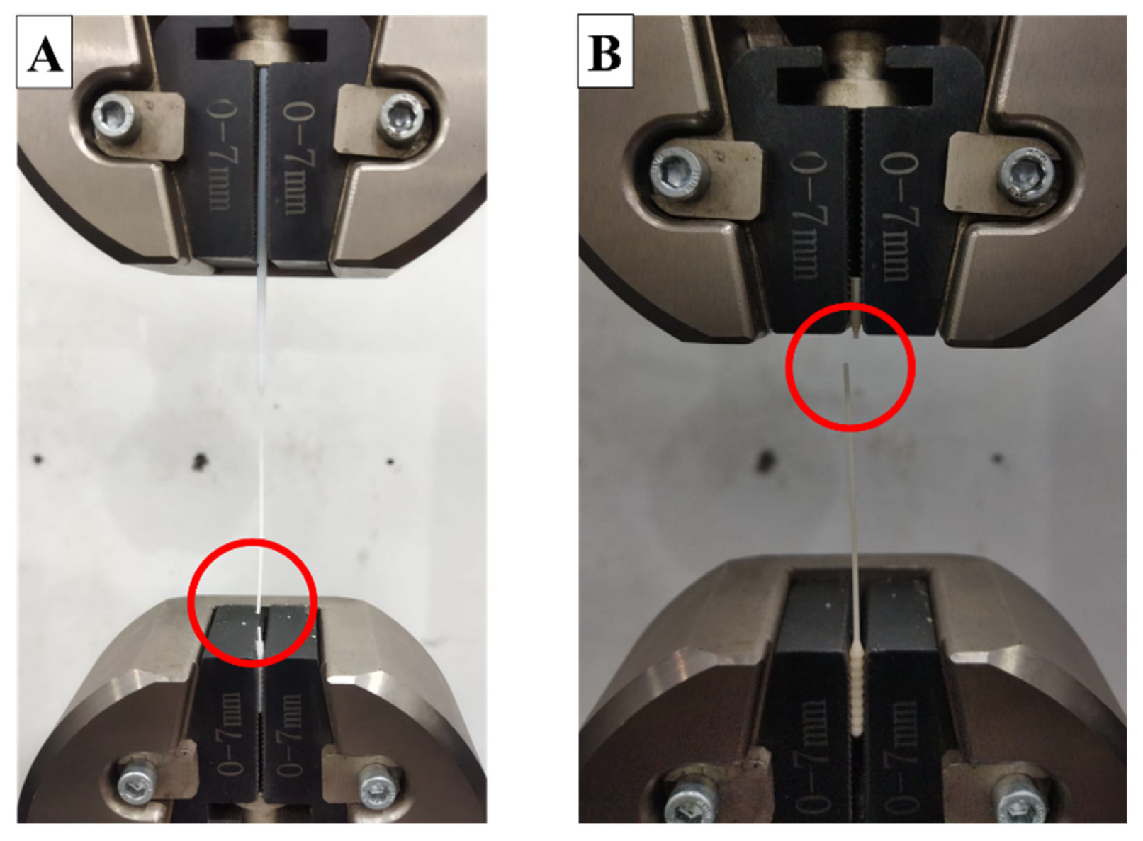 Polymers 15 03363 g012 Polymers 15 03363 g012