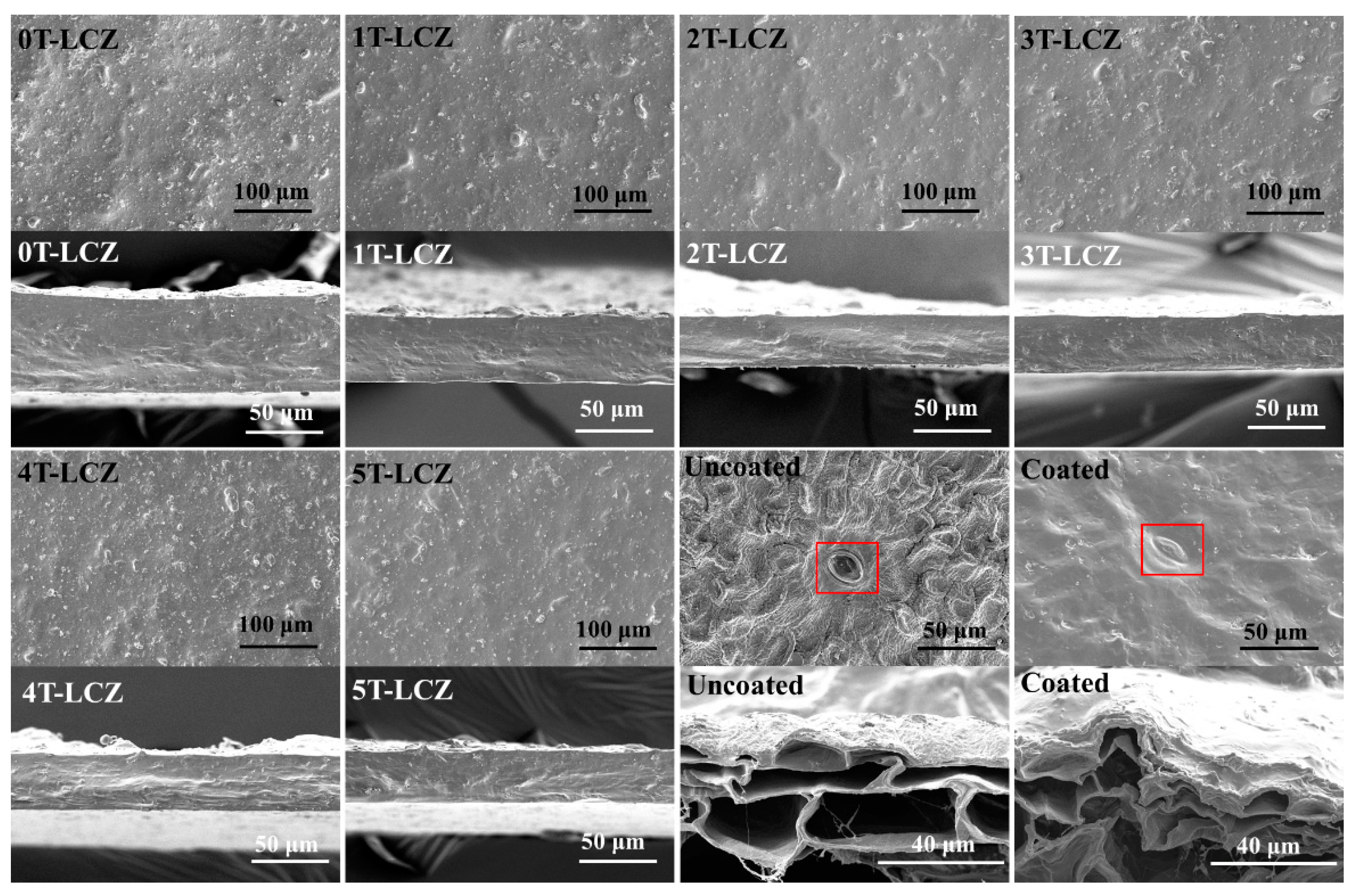 Polymers 15 03364 g006 Polymers 15 03364 g006
