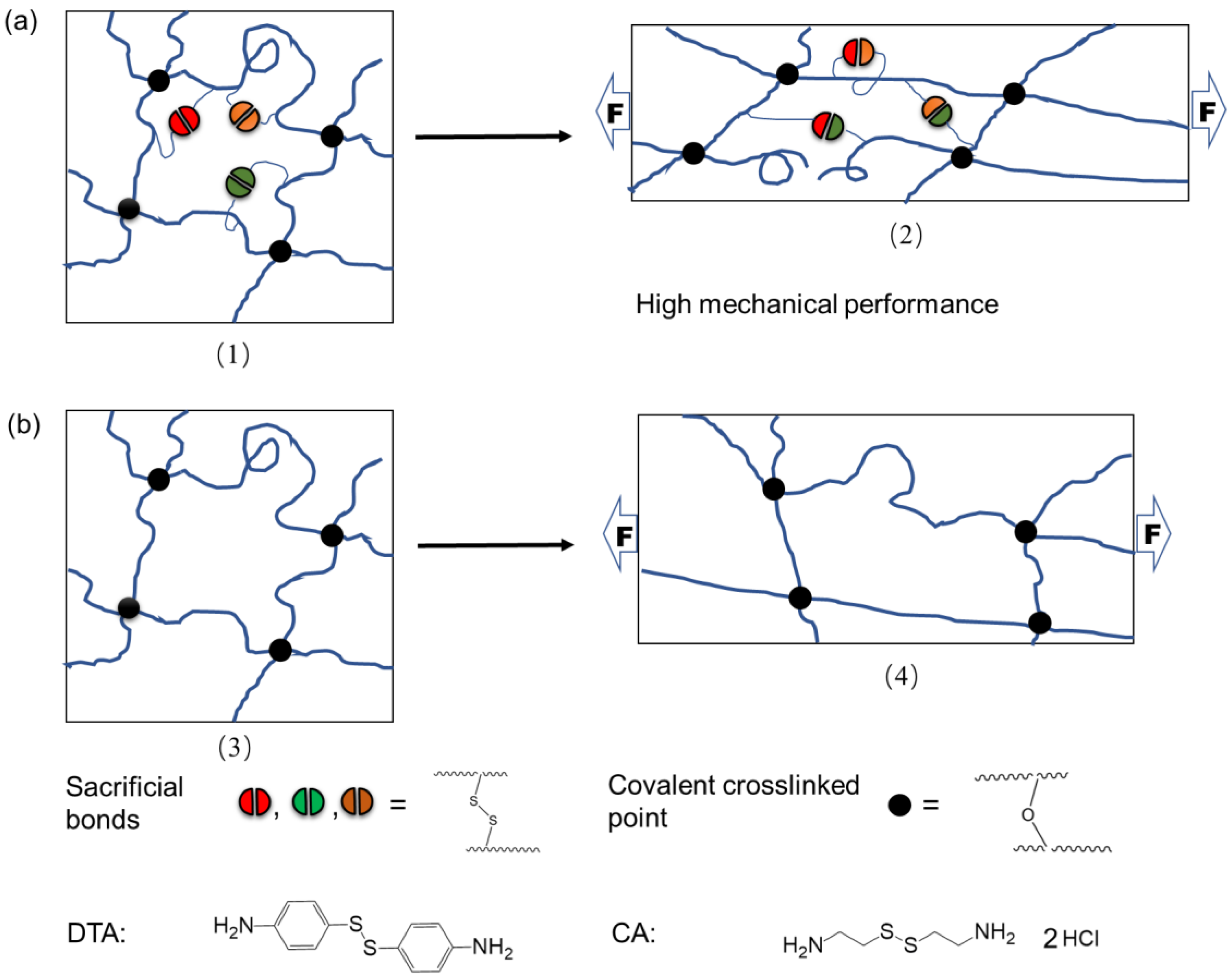 Polymers 15 03367 sch001