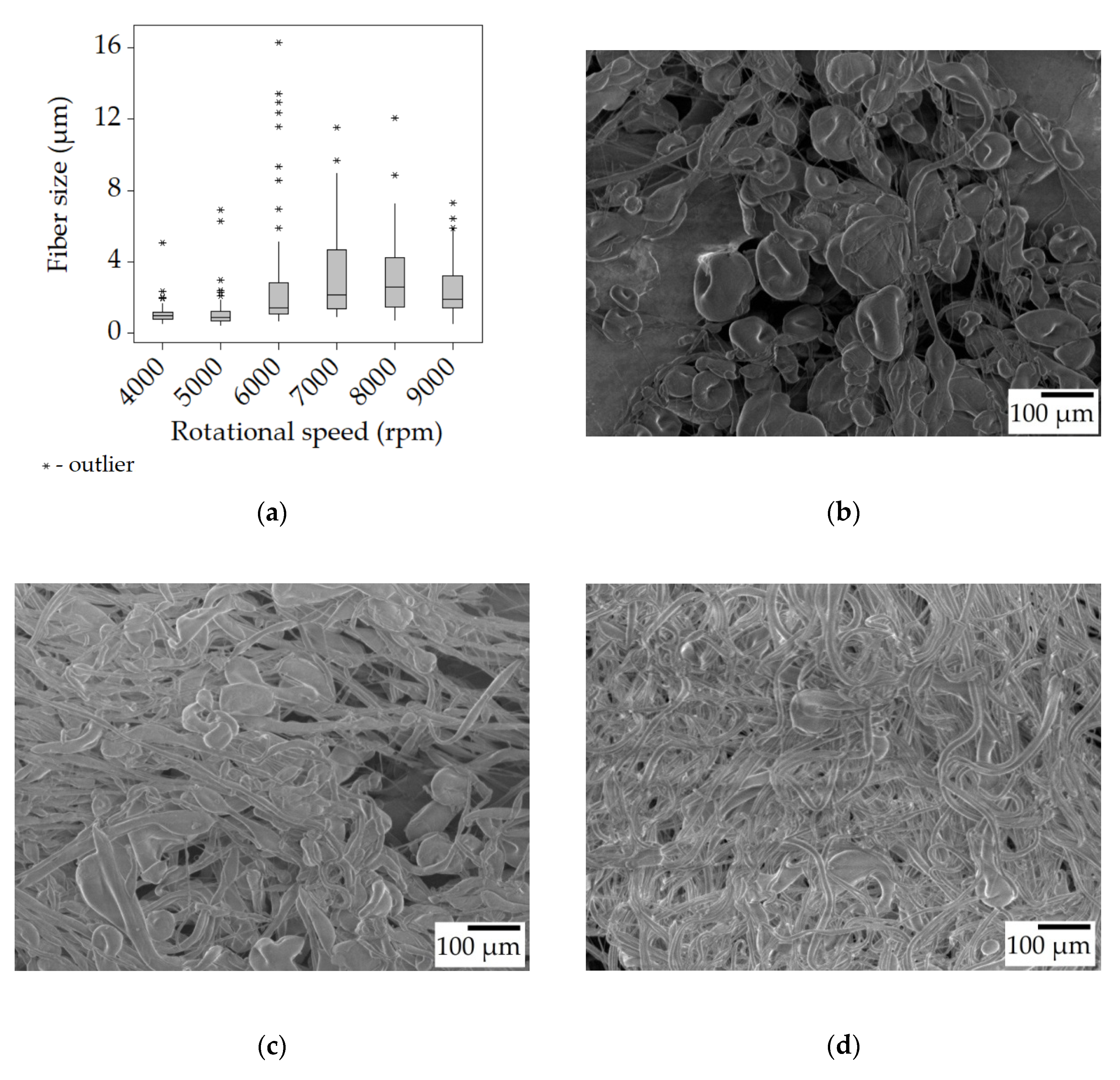 Polymers 15 03368 g002