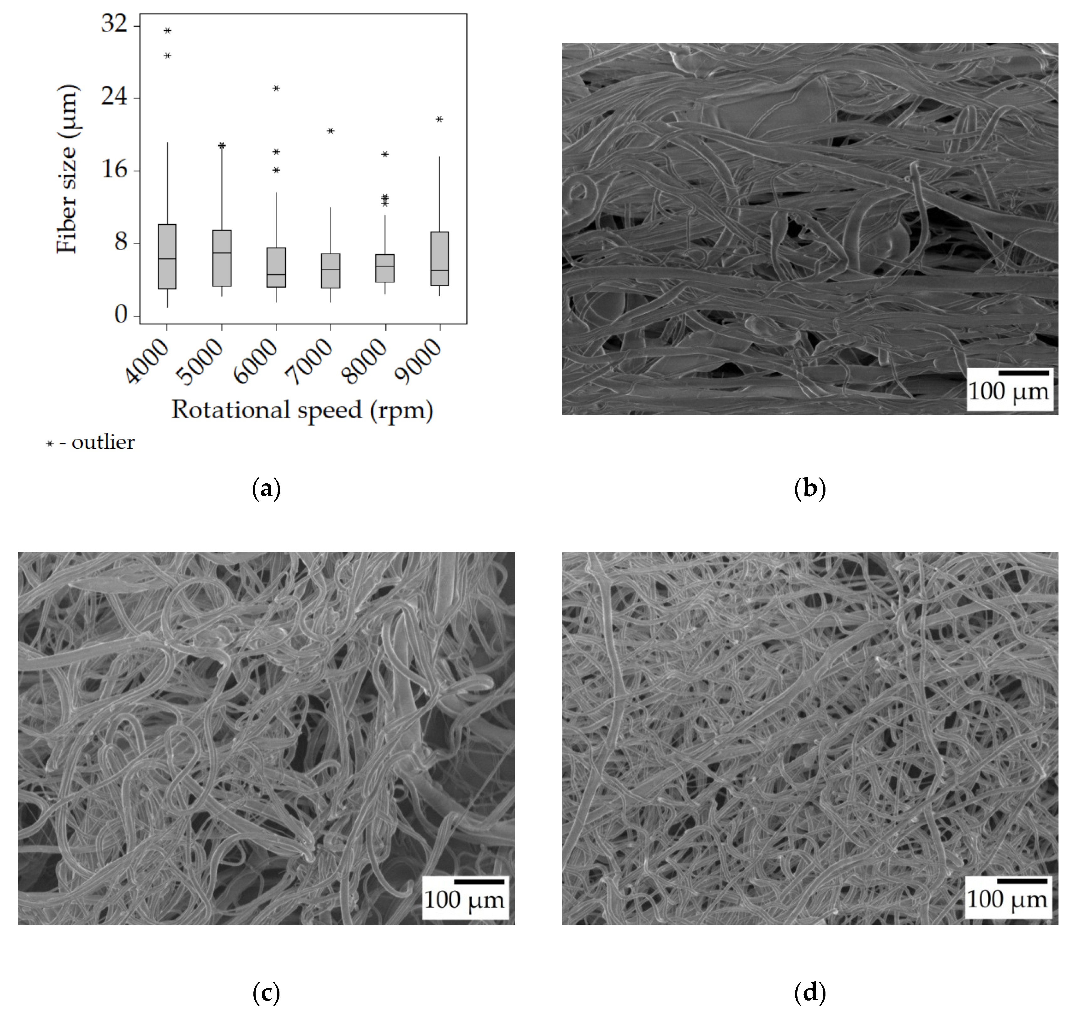 Polymers 15 03368 g003