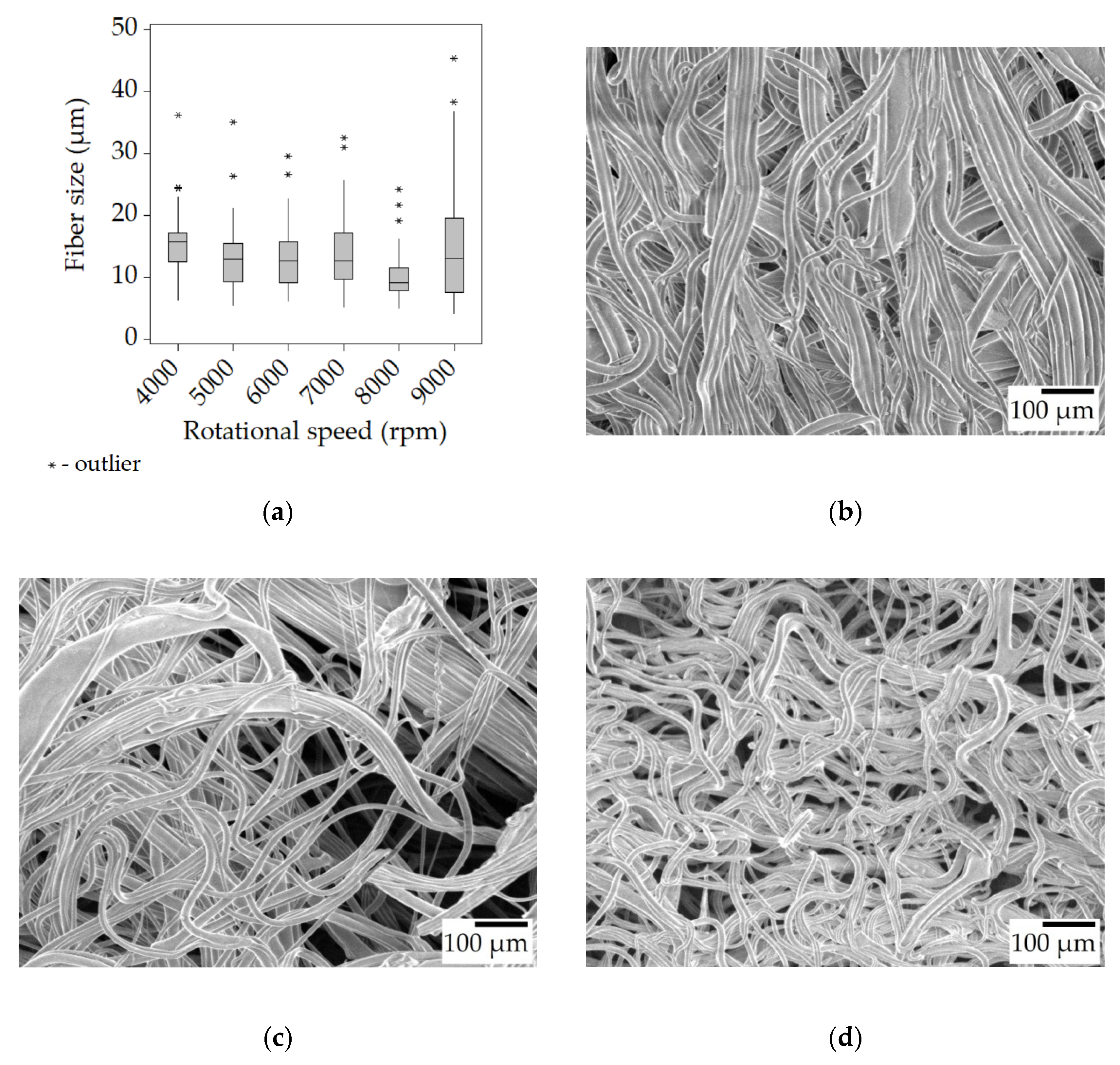 Polymers 15 03368 g004
