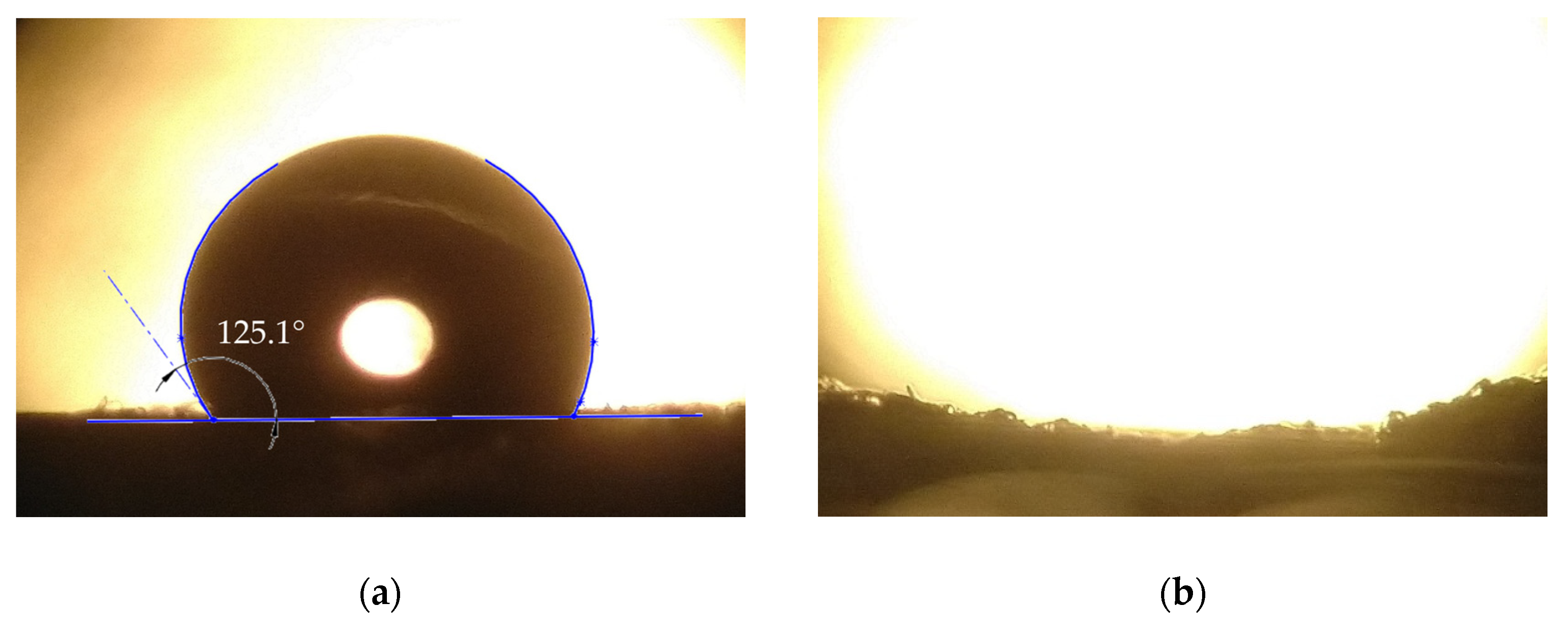 Polymers 15 03368 g009