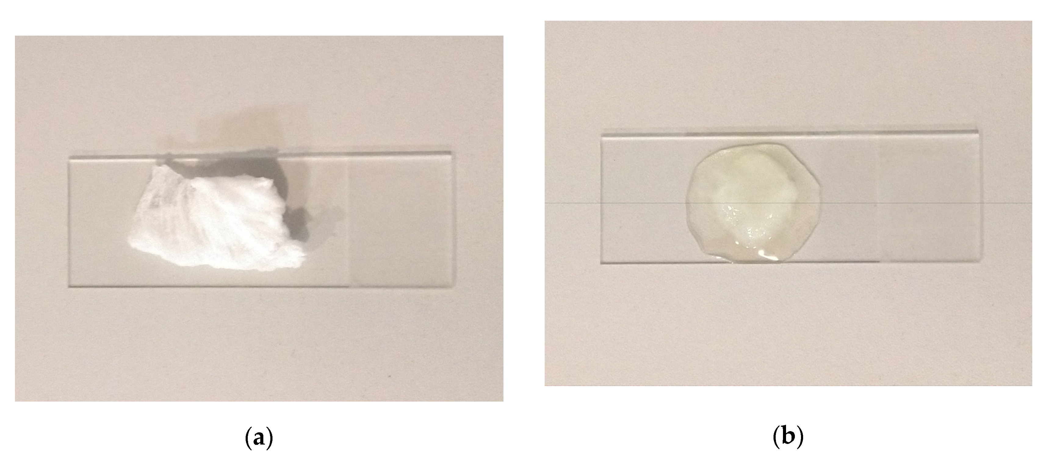 Polymers 15 03368 g011