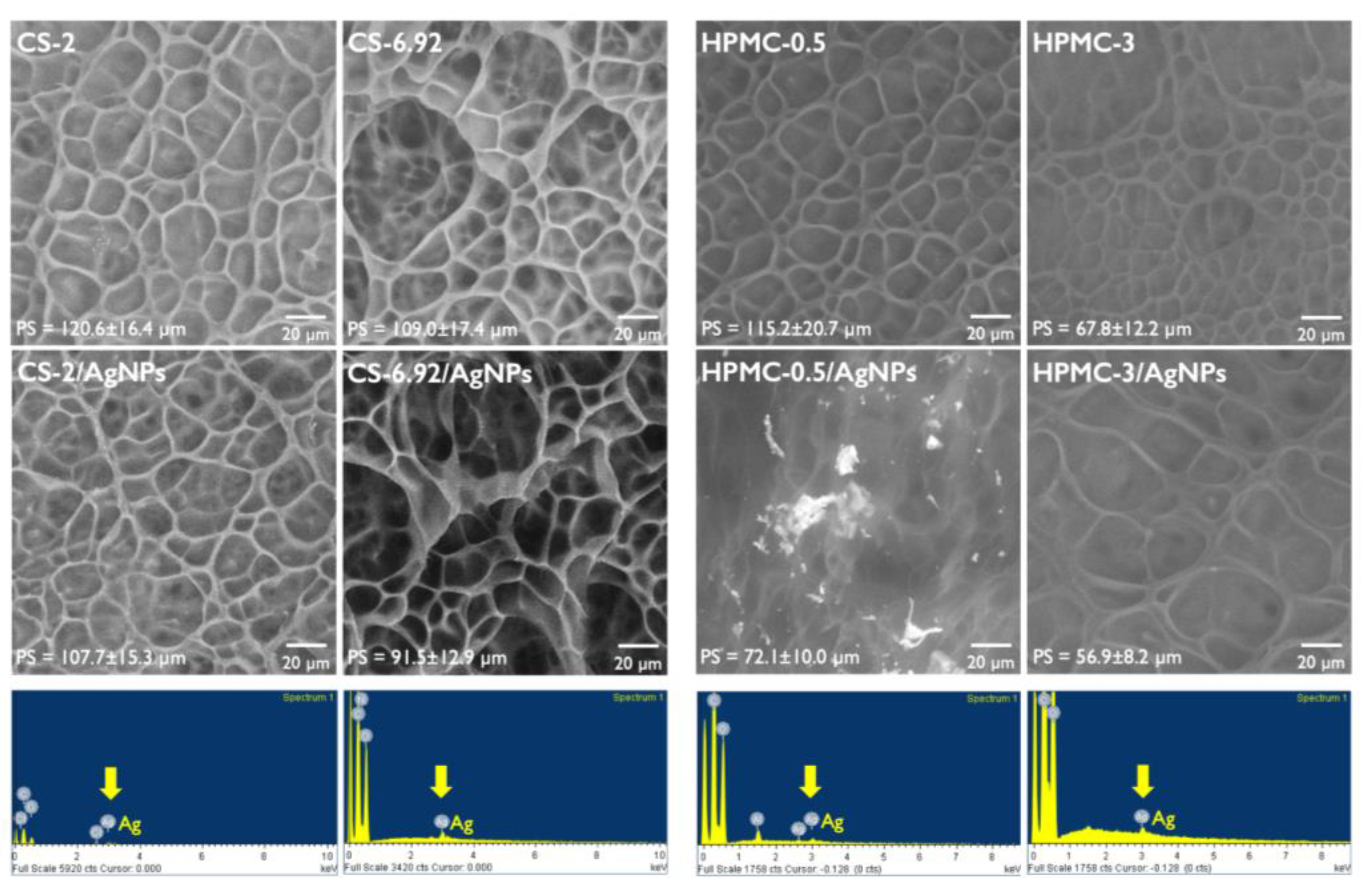 Polymers 15 03370 g004 Polymers 15 03370 g004