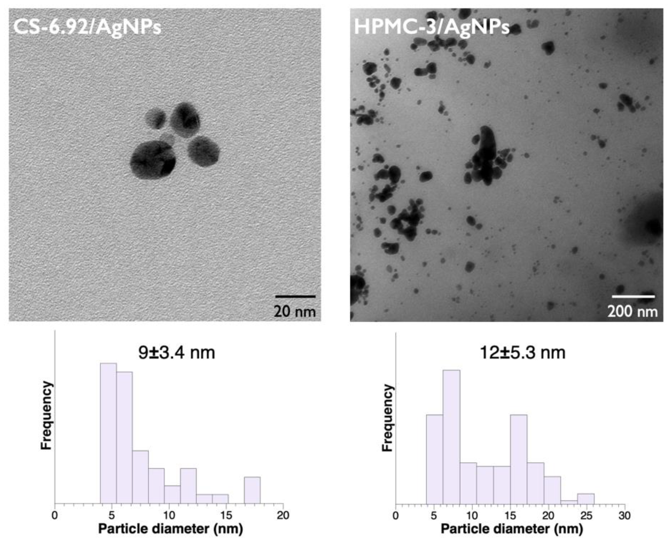 Polymers 15 03370 g005 Polymers 15 03370 g005