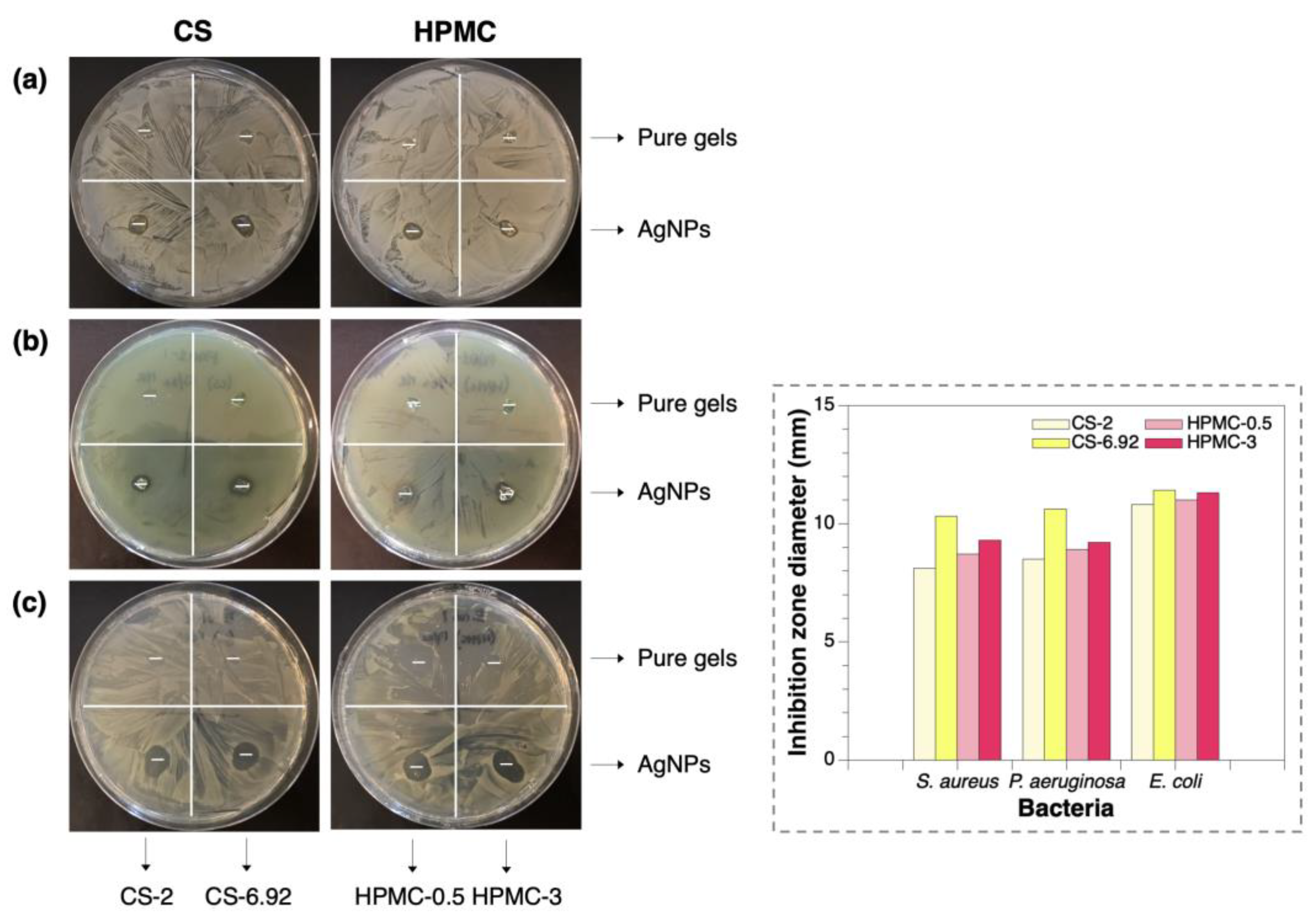 Polymers 15 03370 g006 Polymers 15 03370 g006