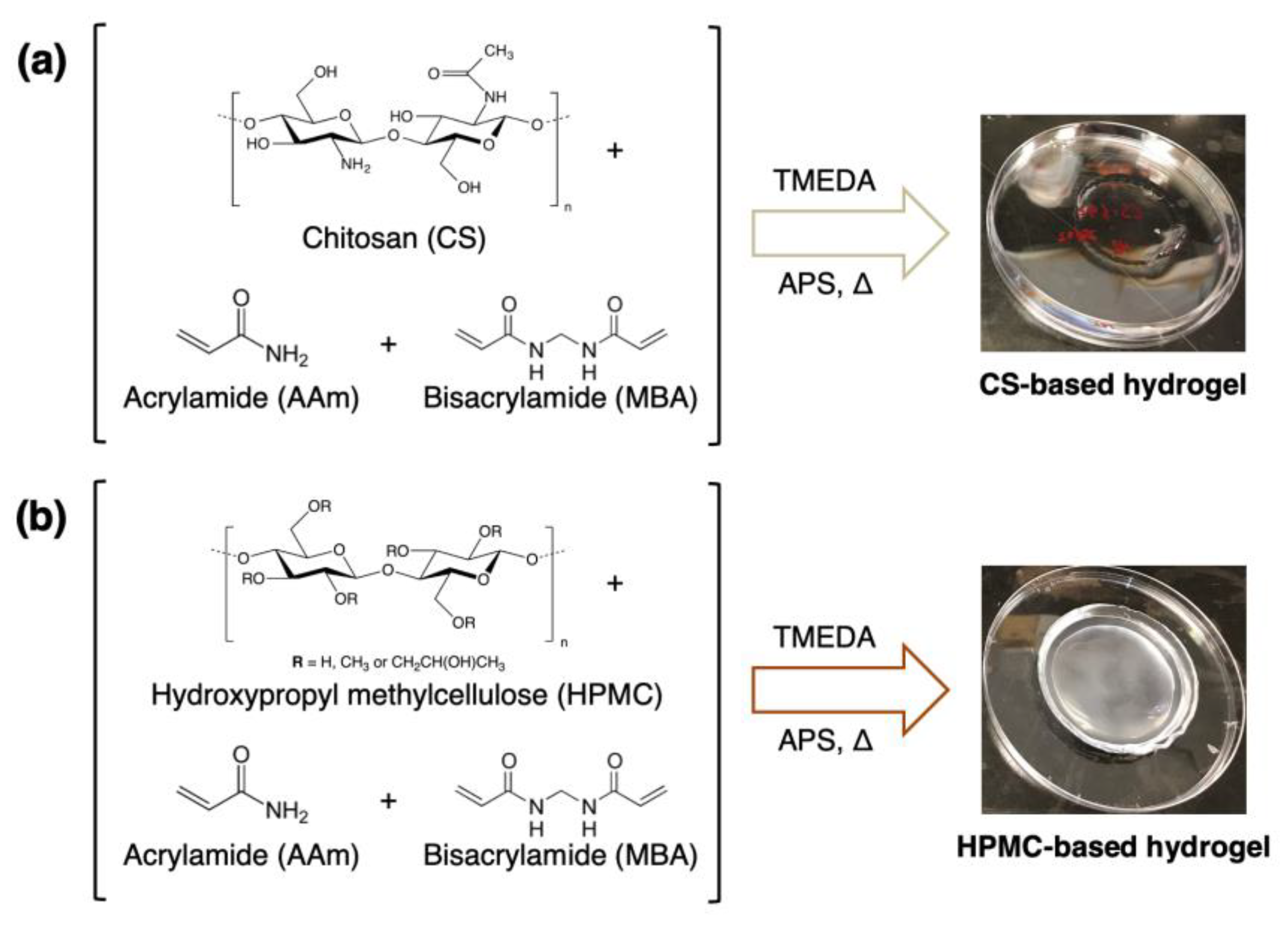 Polymers 15 03370 sch001 Polymers 15 03370 sch001