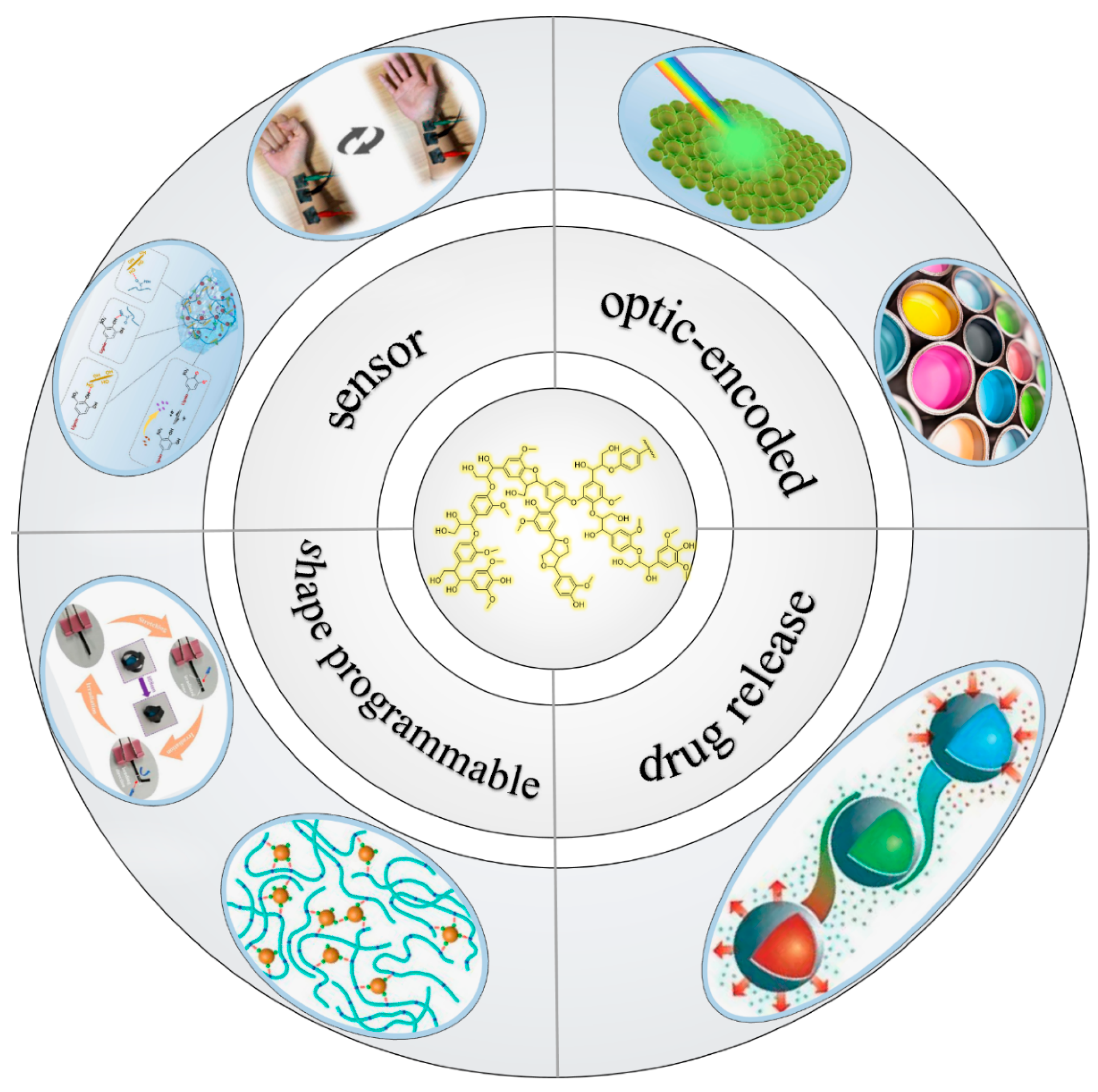 Polymers 15 03372 g001 Polymers 15 03372 g001