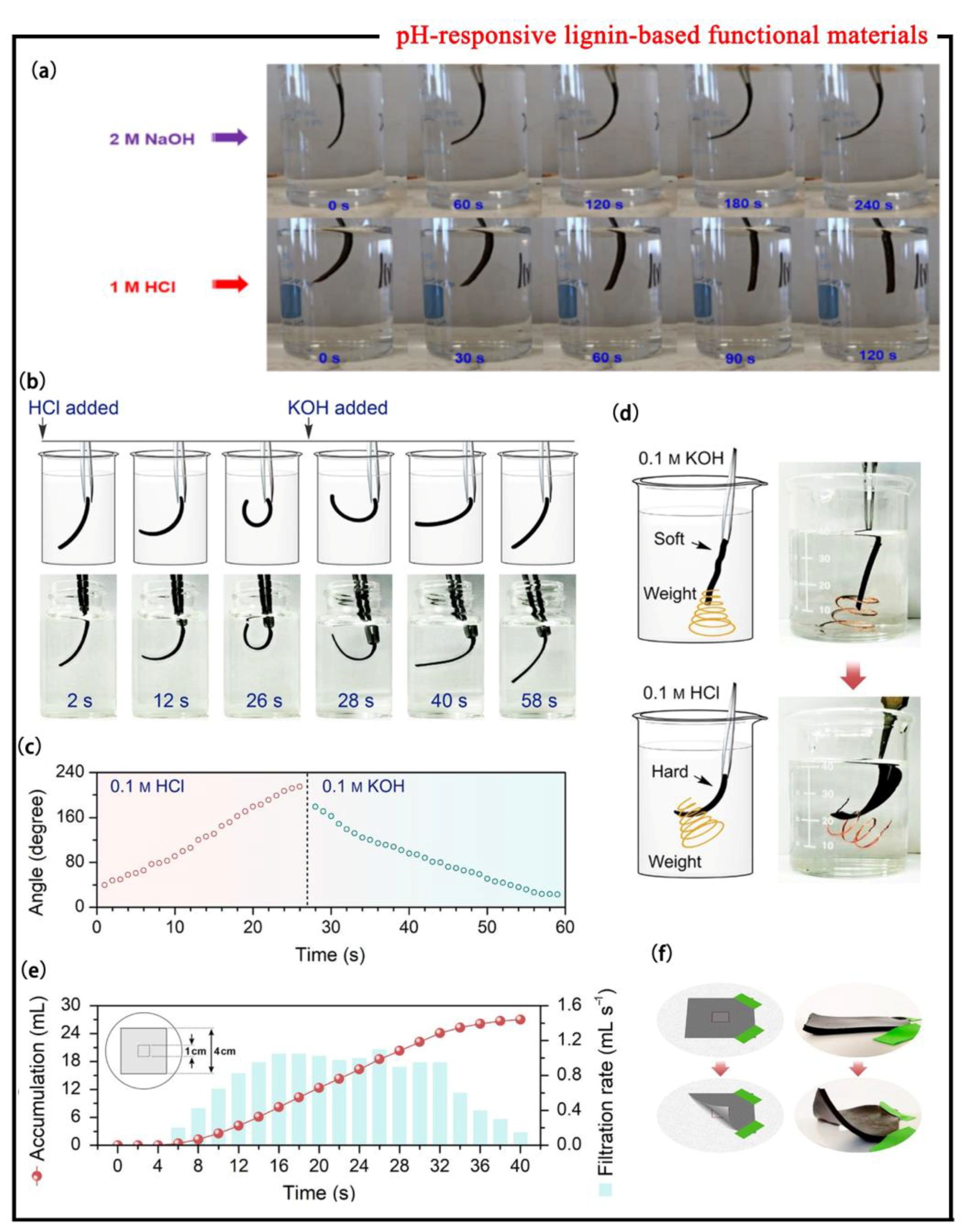 Polymers 15 03372 g004 Polymers 15 03372 g004