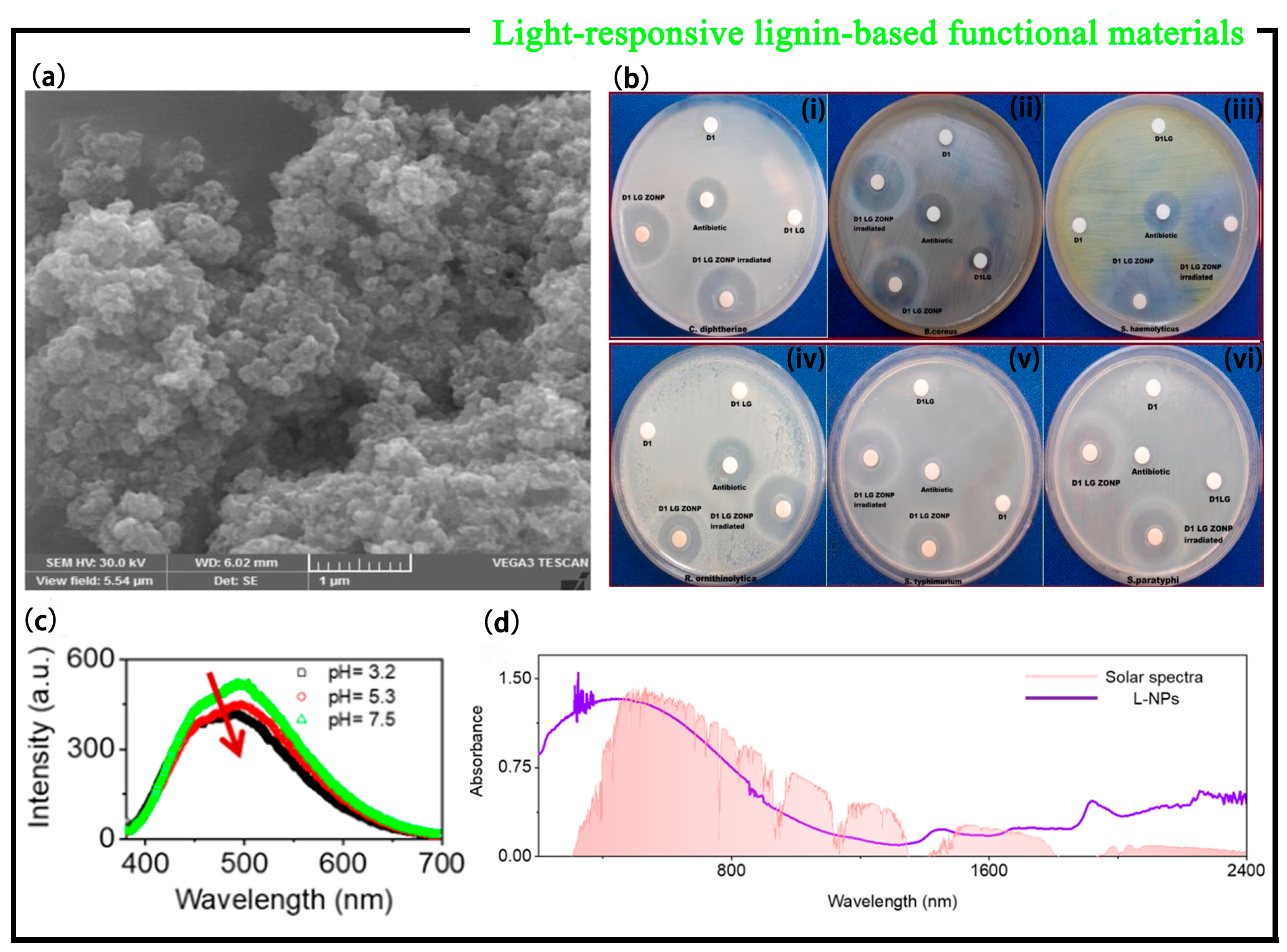 Polymers 15 03372 g006 Polymers 15 03372 g006