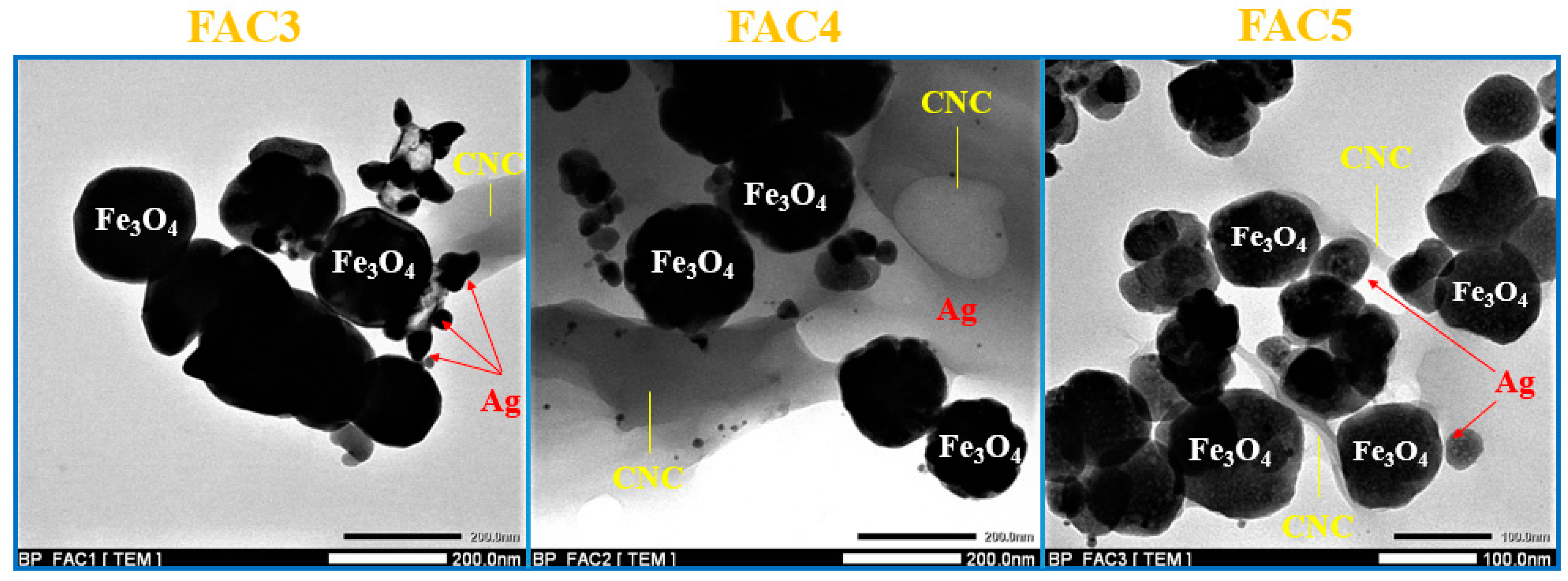 Polymers 15 03373 g005 Polymers 15 03373 g005