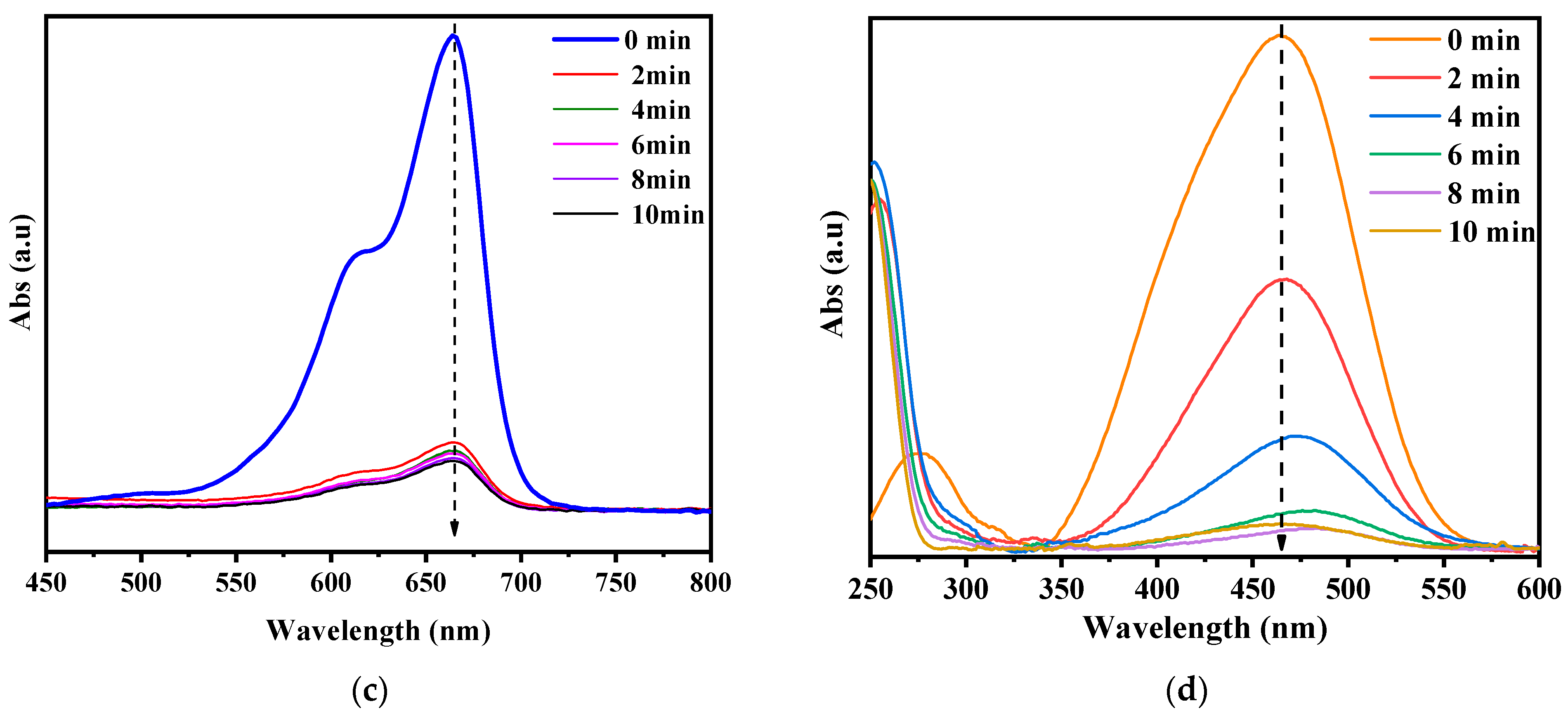 Polymers 15 03373 g010b Polymers 15 03373 g010b