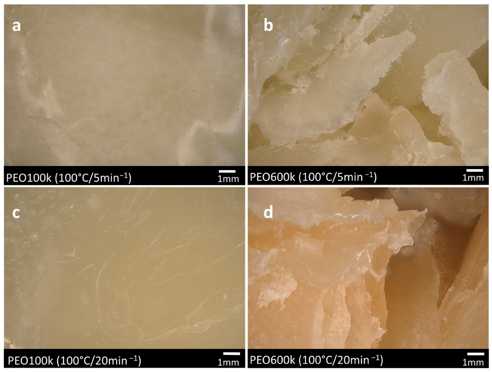 Polymers 15 03375 g005