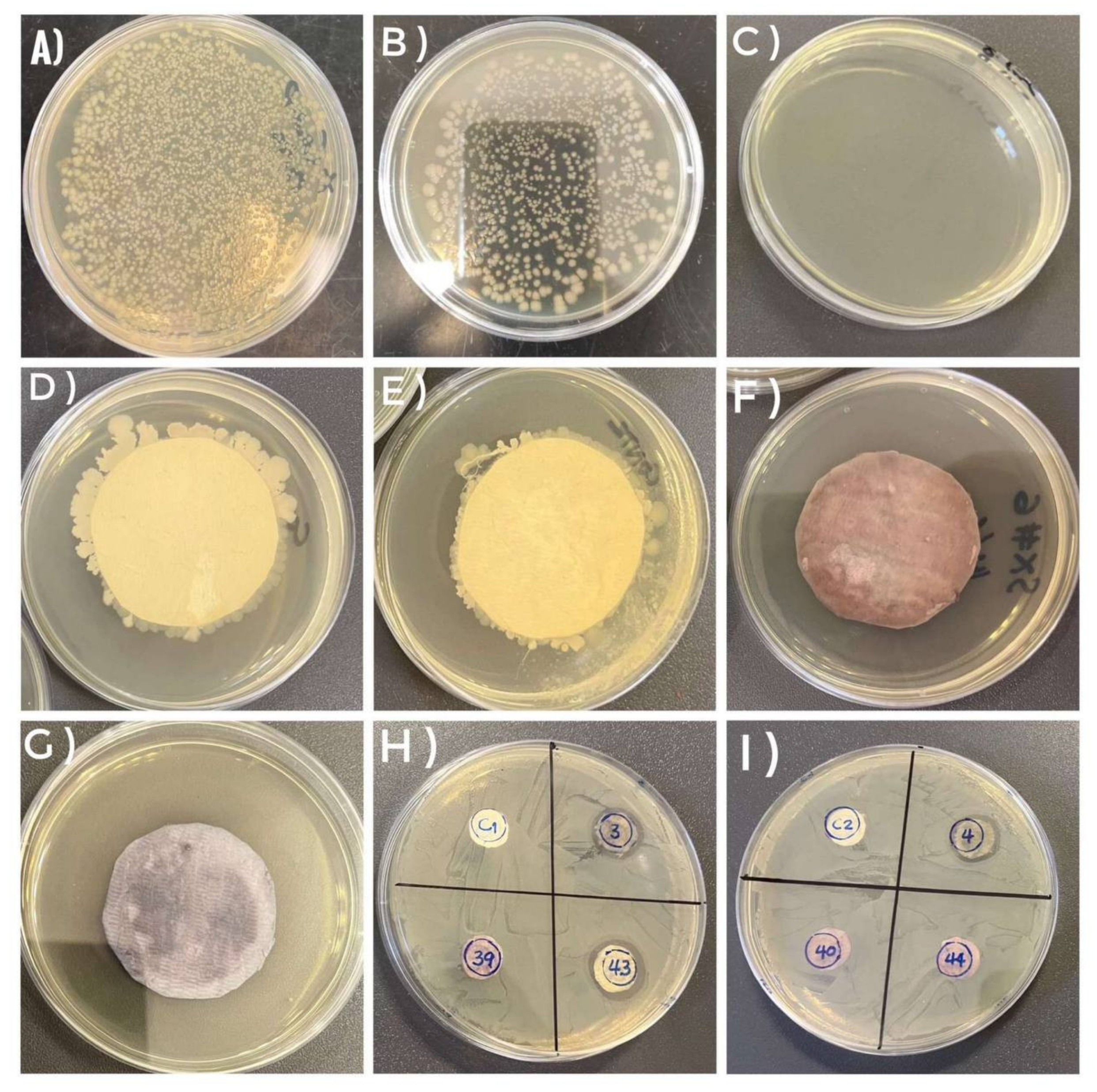 Polymers 15 03378 g009 Polymers 15 03378 g009