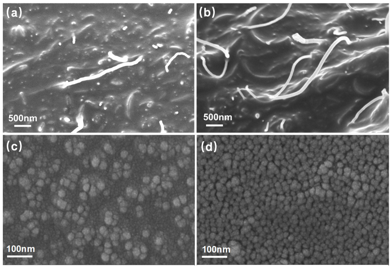 Polymers 15 03379 g006