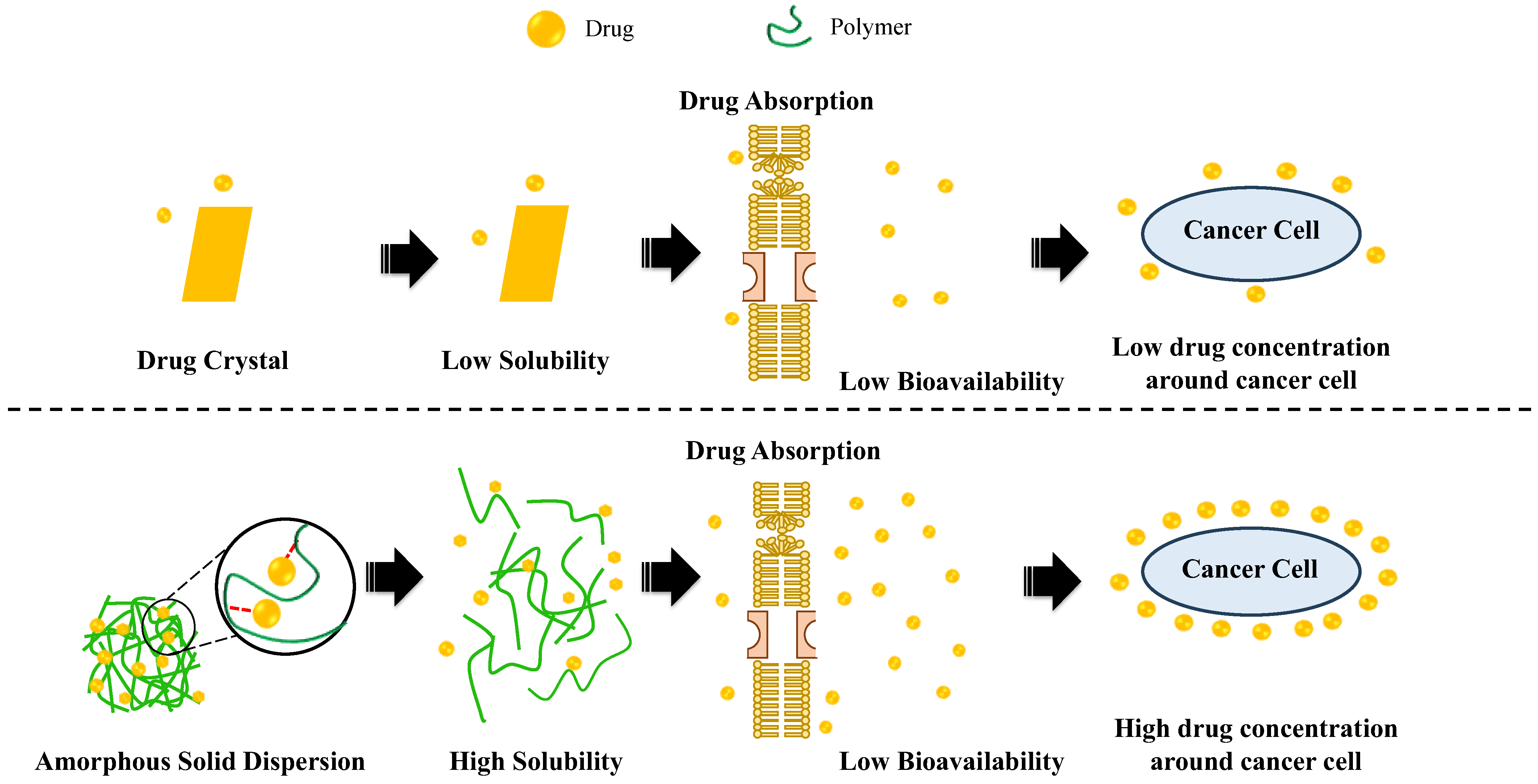 Polymers 15 03380 g005