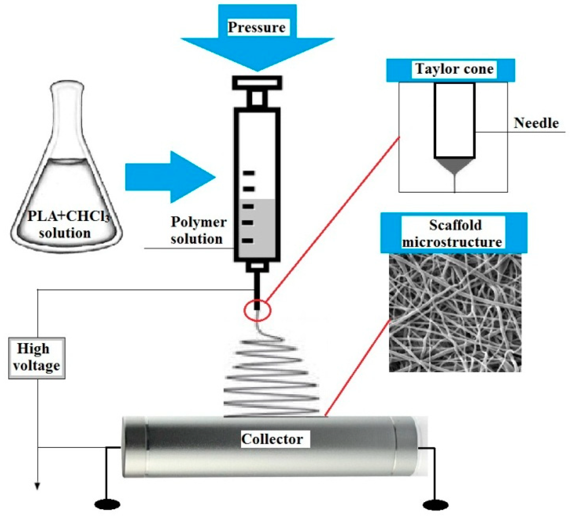 Polymers 15 03381 g001
