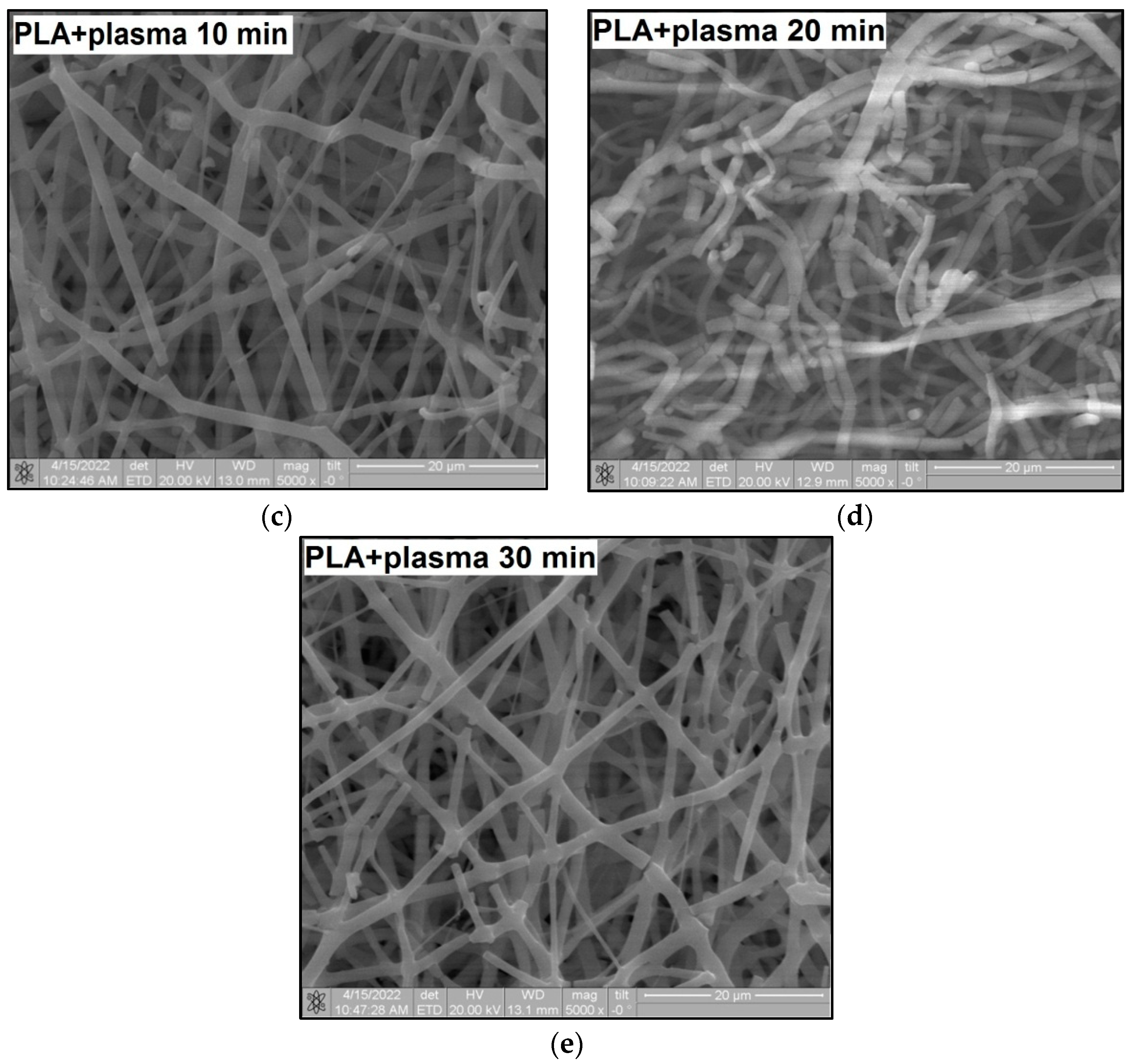 Polymers 15 03381 g008b