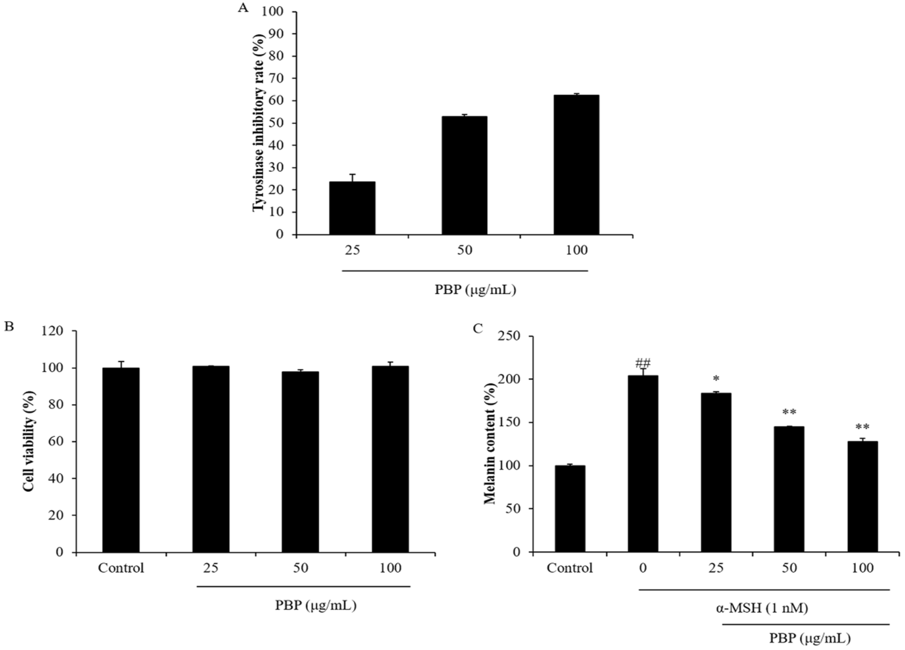 Polymers 15 03382 g001