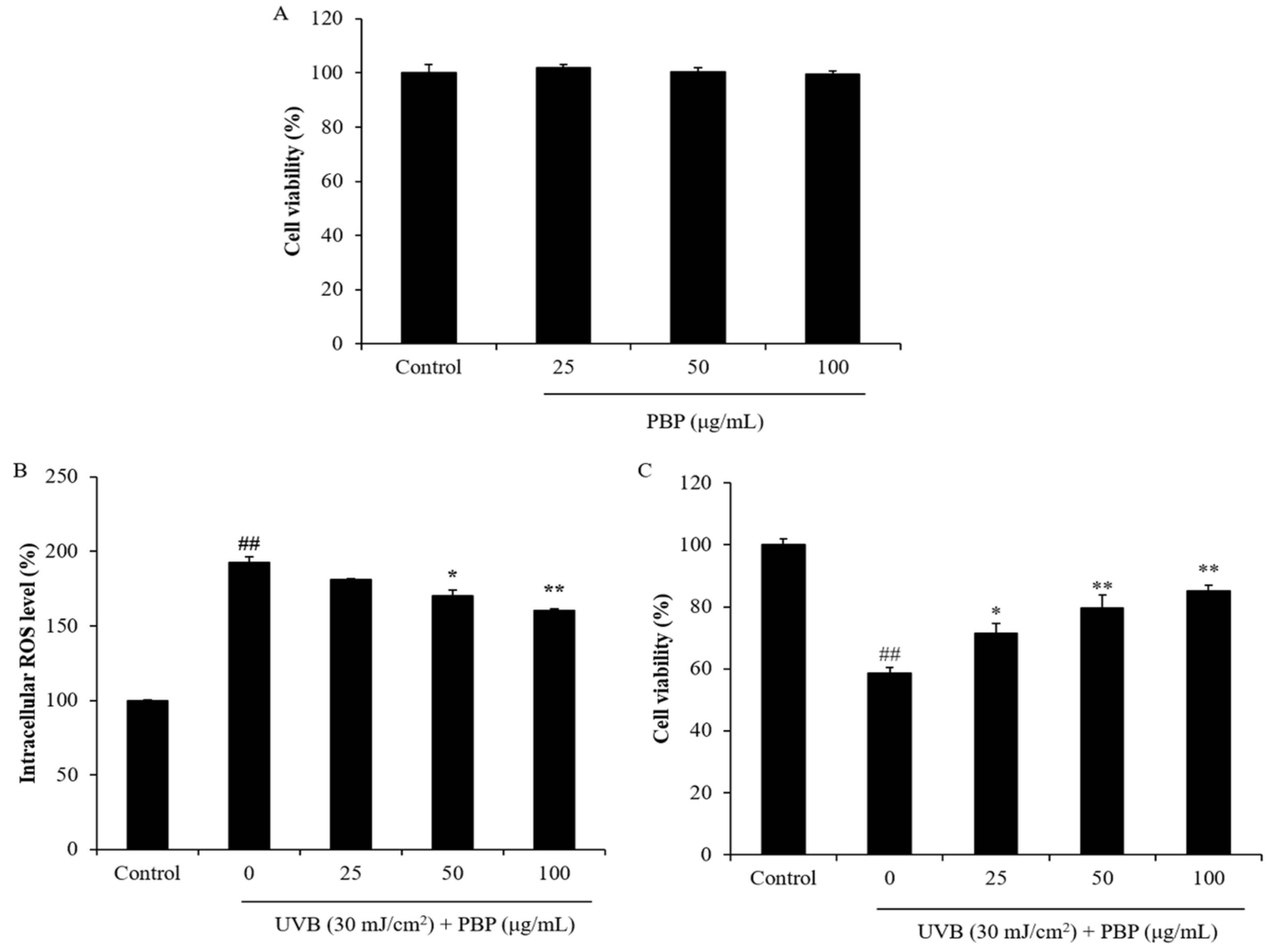 Polymers 15 03382 g002