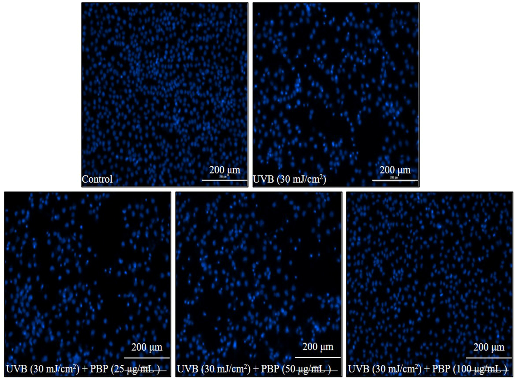 Polymers 15 03382 g003