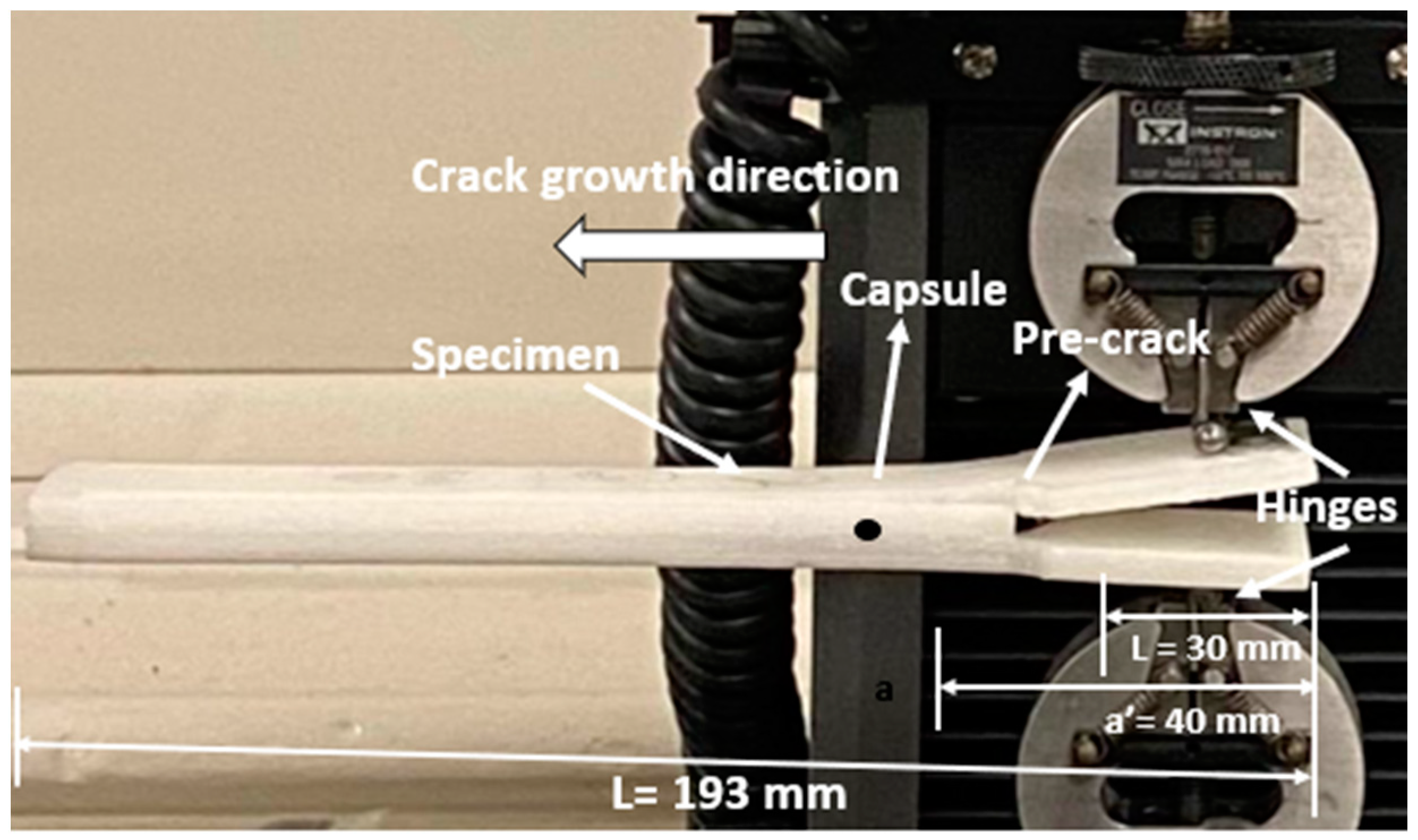 Polymers 15 03384 g008