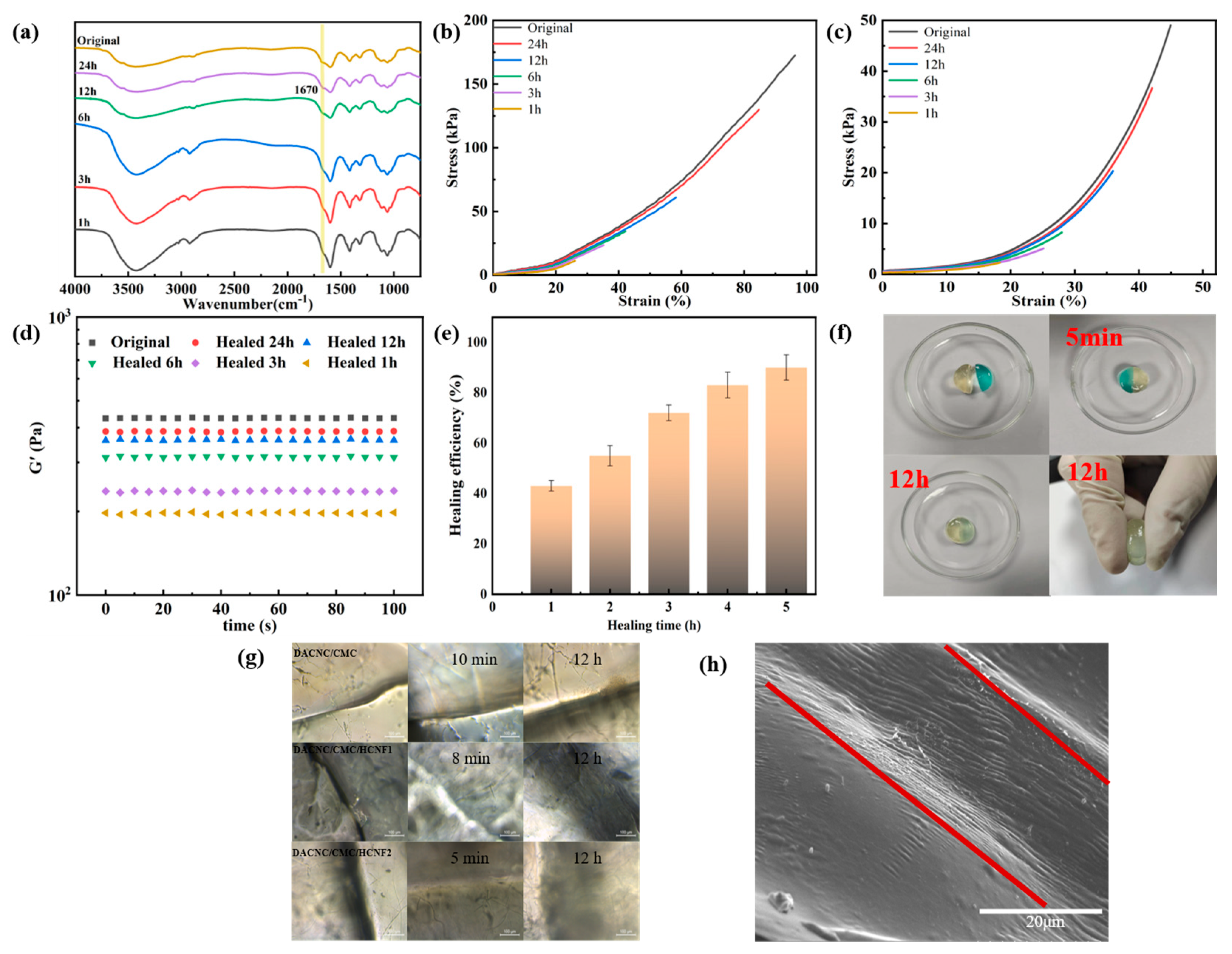 Polymers 15 03389 g006