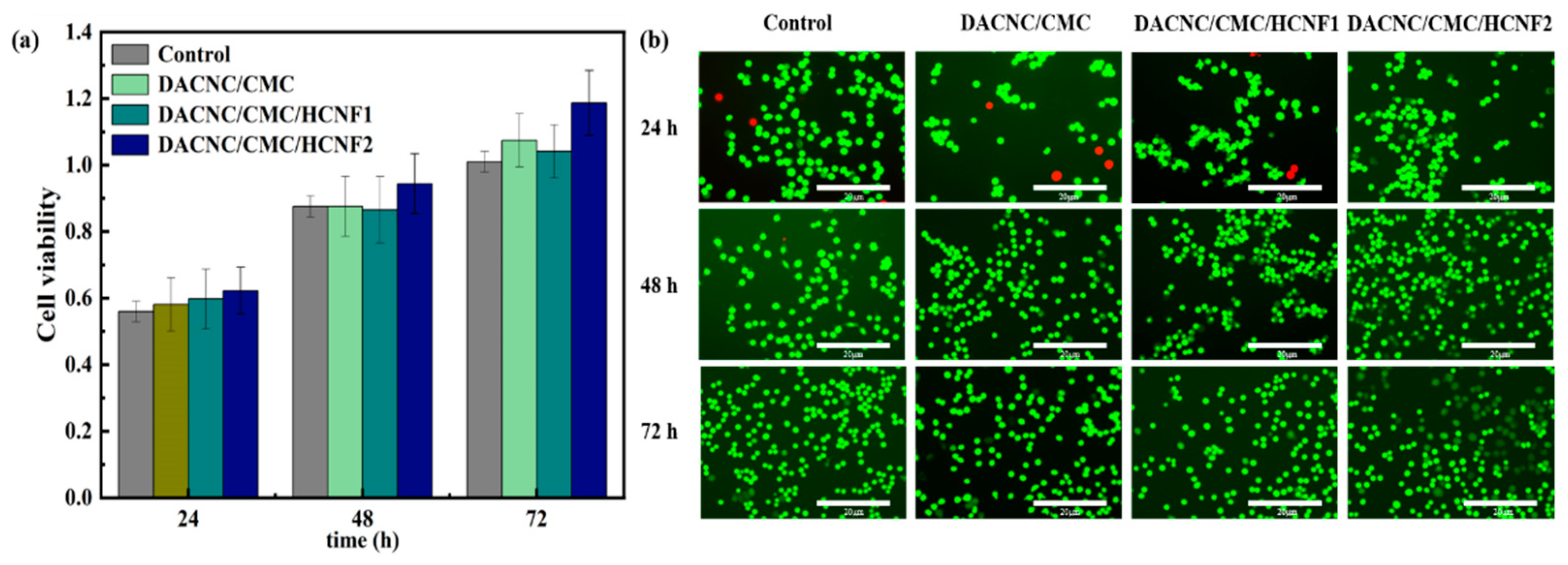 Polymers 15 03389 g008