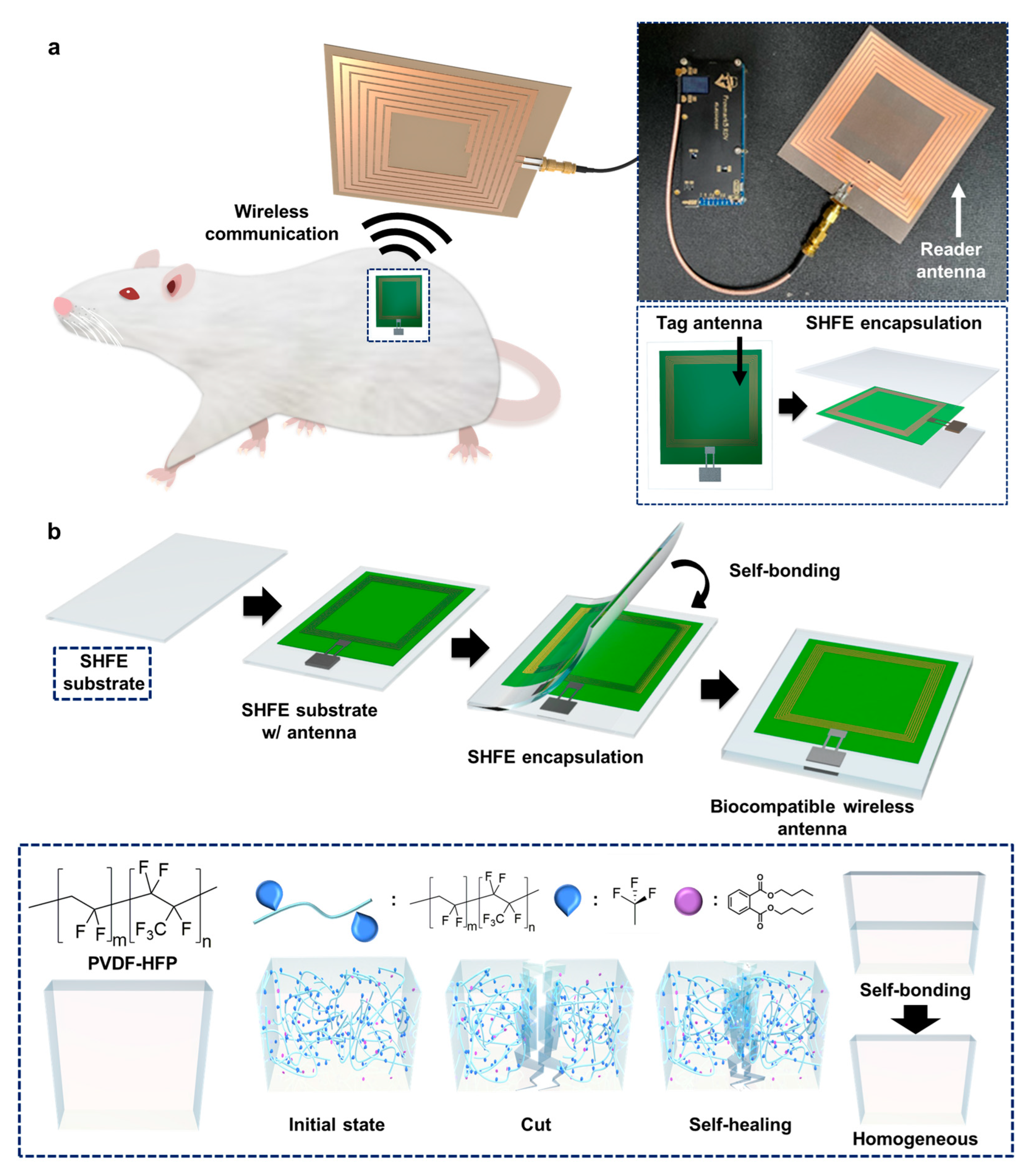 Polymers 15 03391 g001