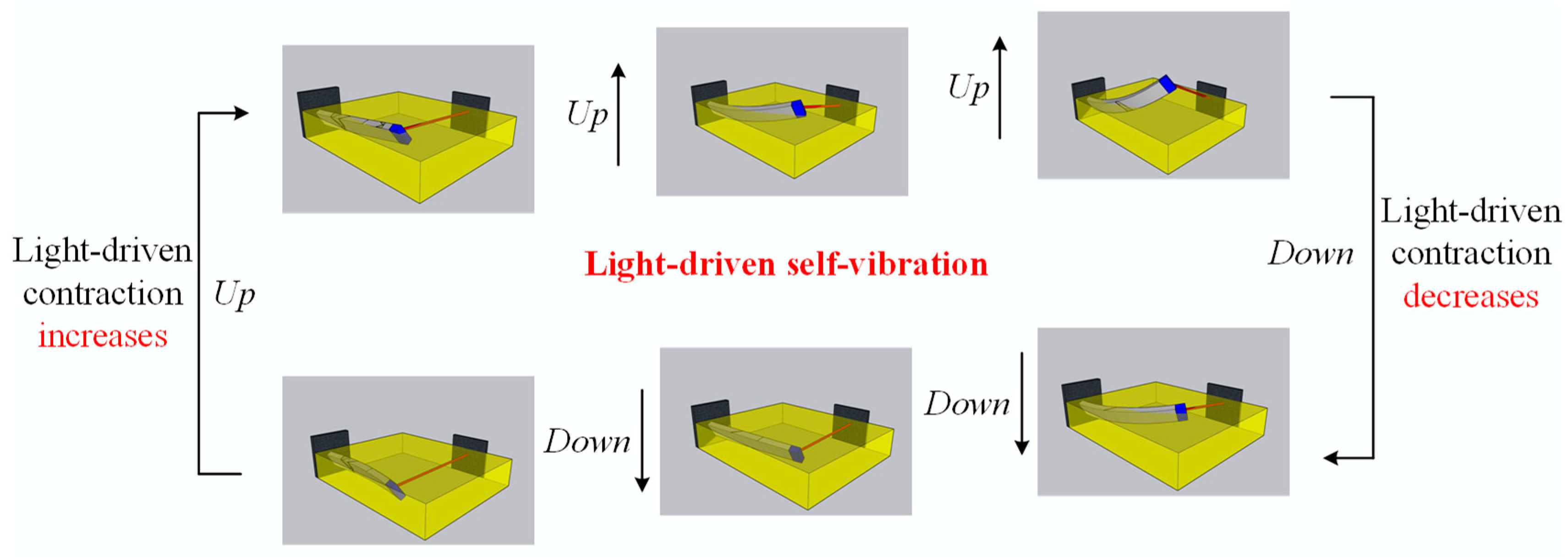 Polymers 15 03397 g004