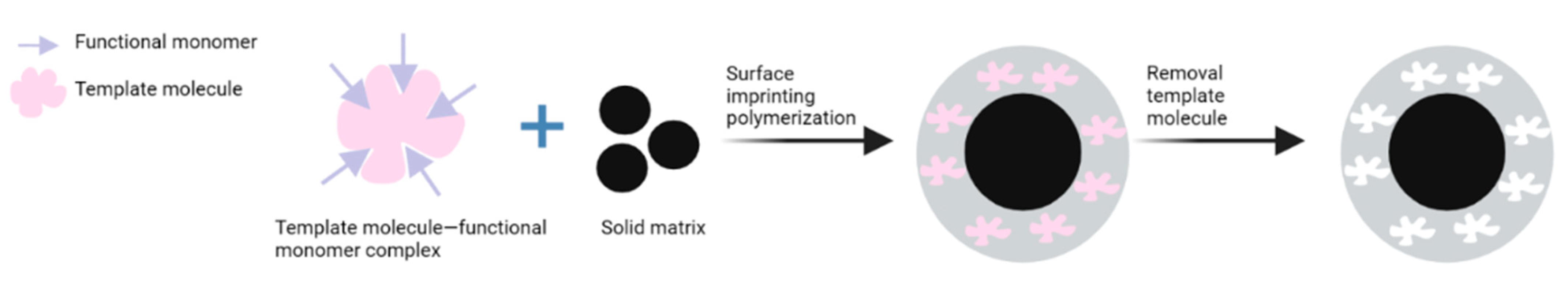 Polymers 15 03401 g003 Polymers 15 03401 g003