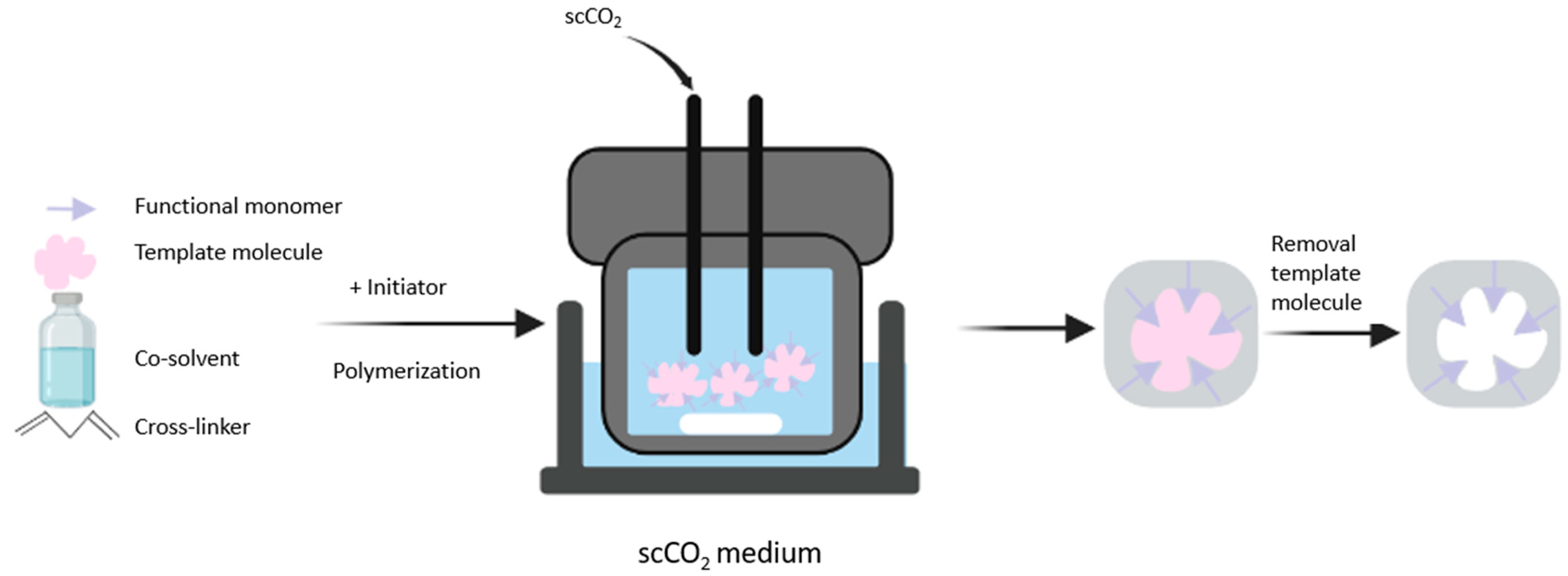 Polymers 15 03401 g004 Polymers 15 03401 g004